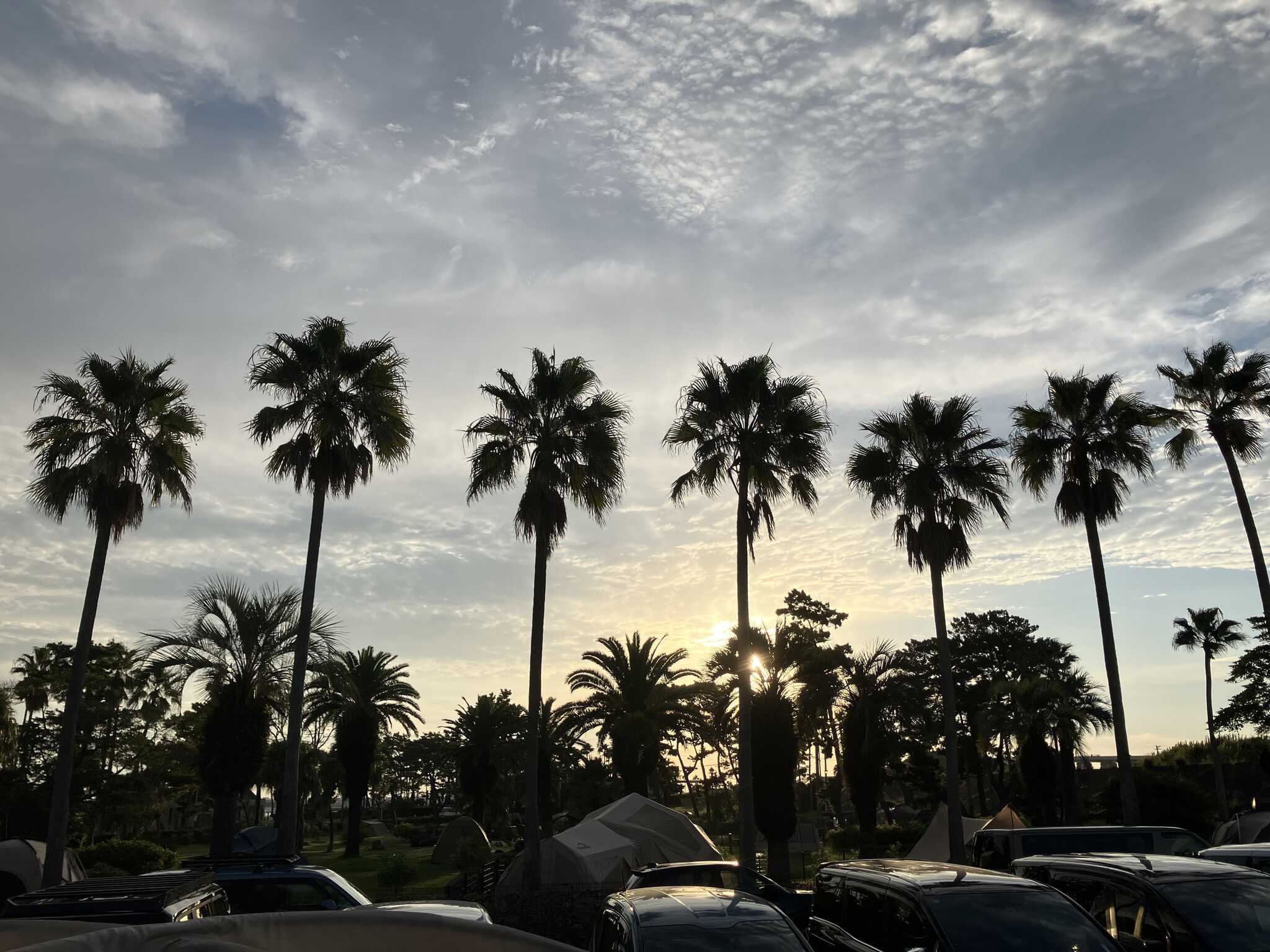 10月の朝6:00くらいです。