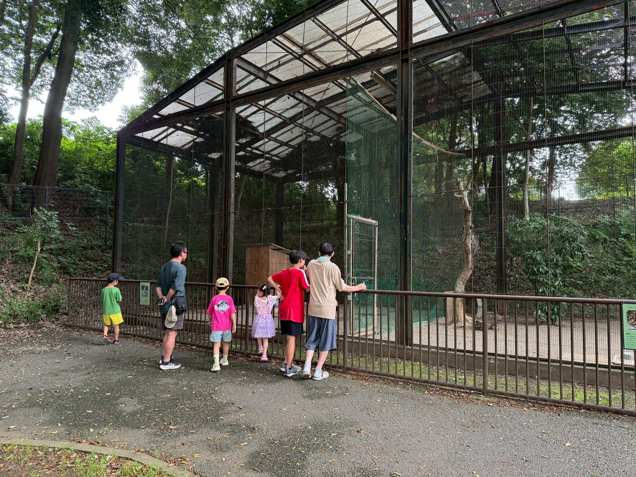 鶴 見てます