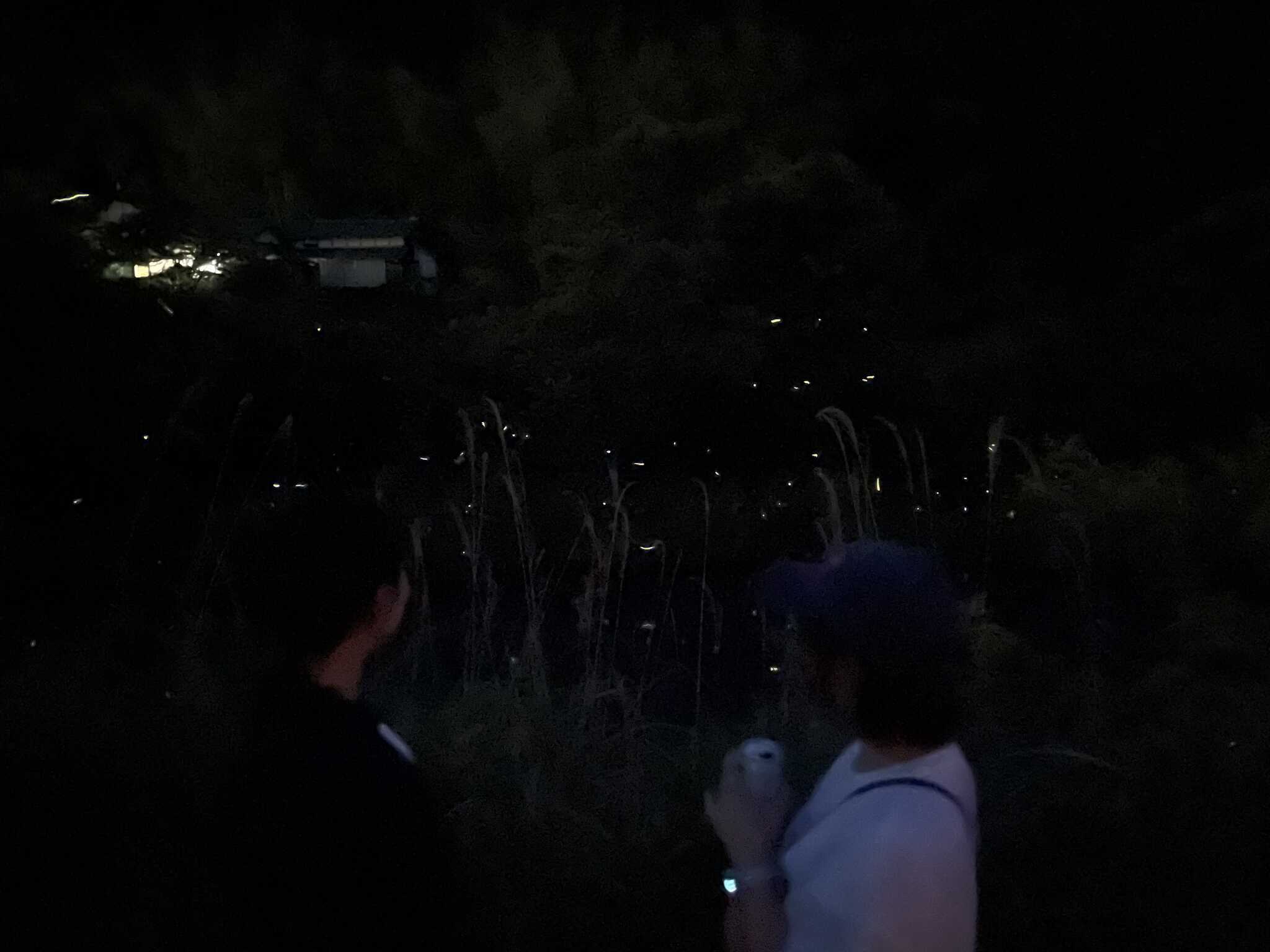 蛍とお客様