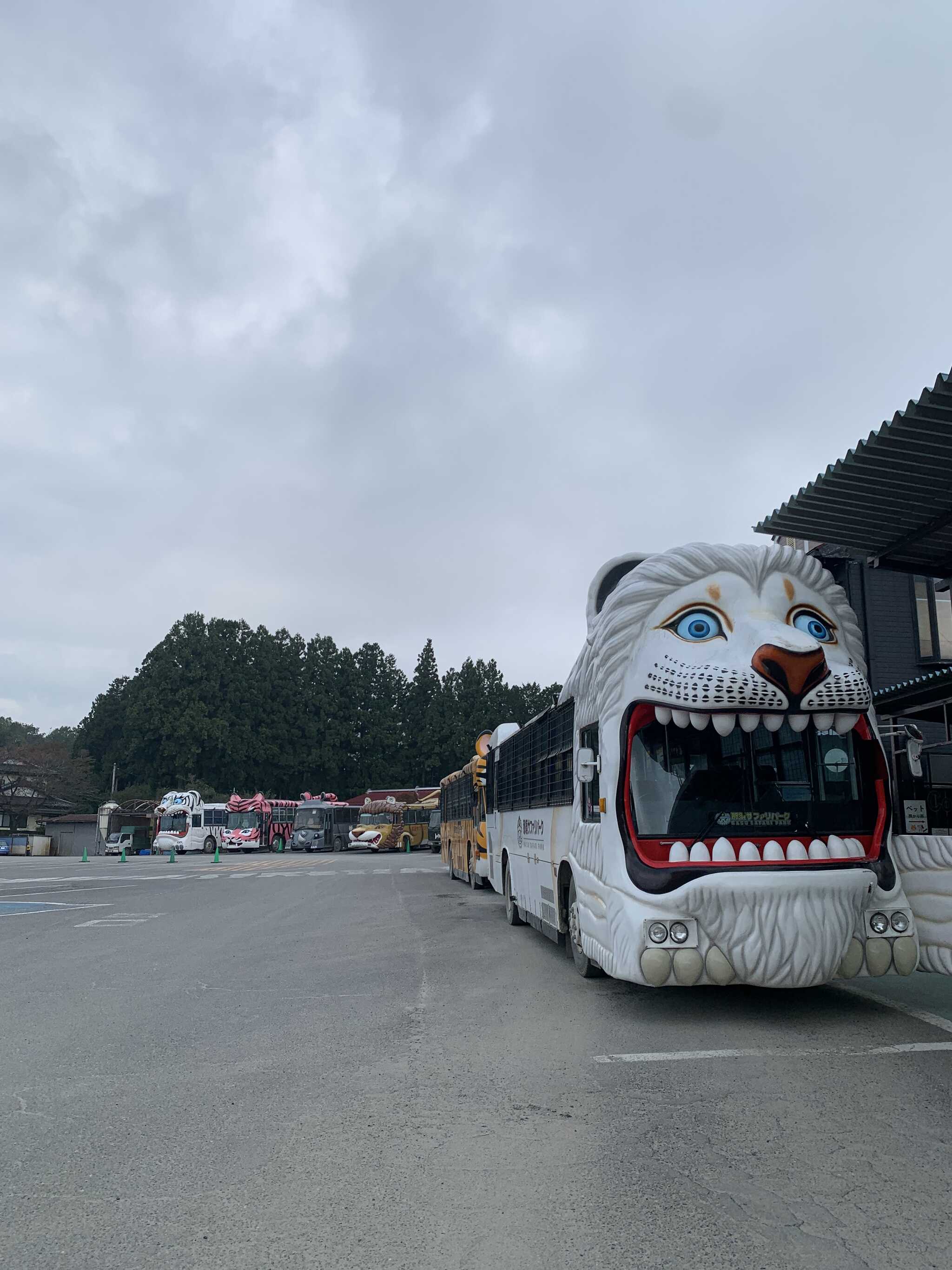 近隣施設のサファリパーク お勧め
