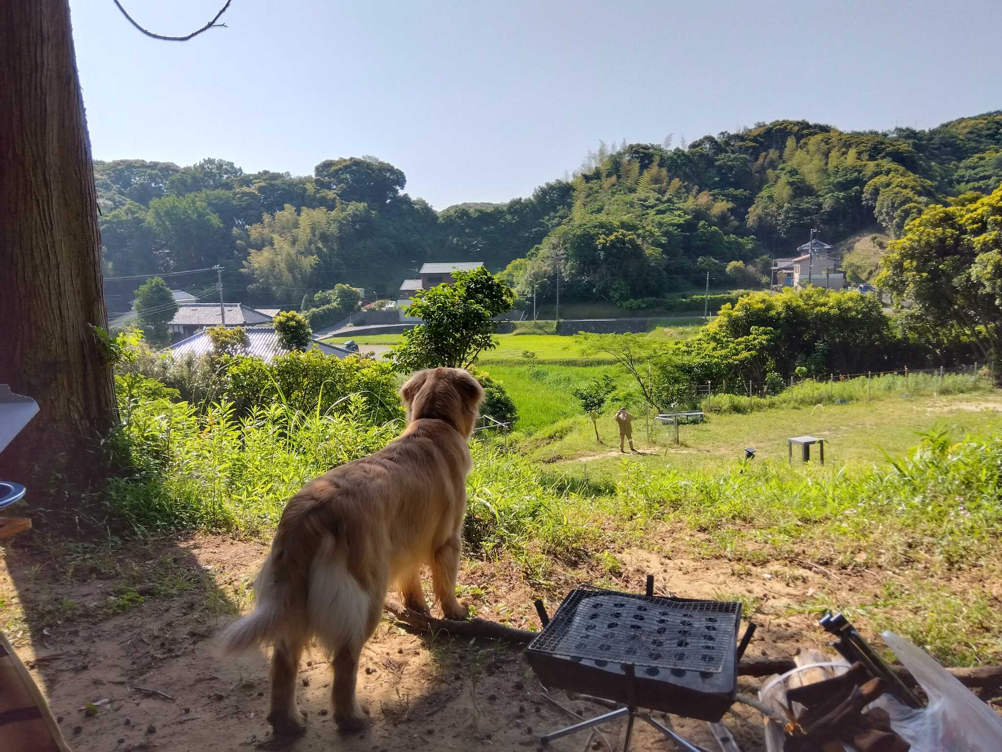 最上段からの眺め