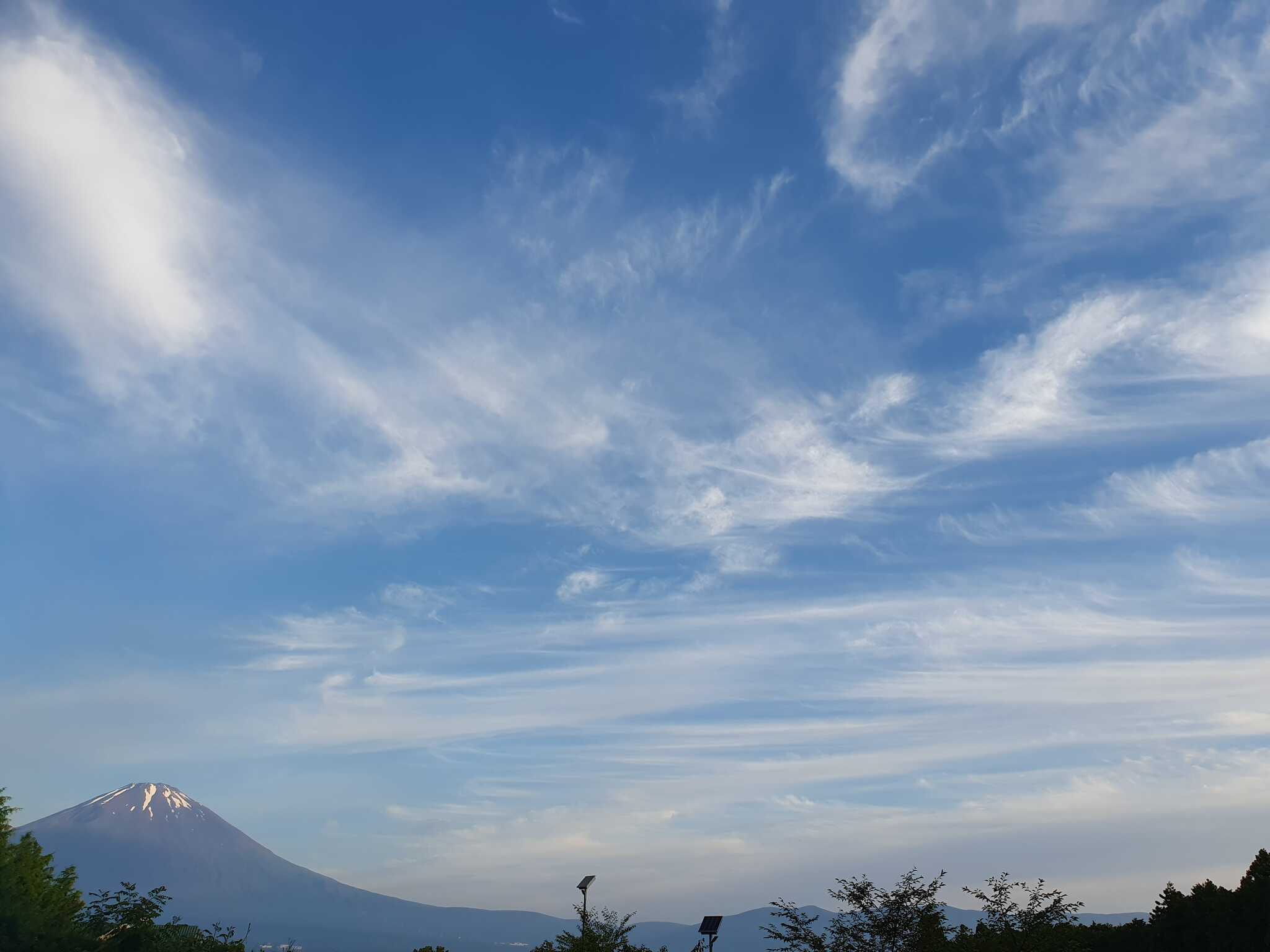 早朝雲