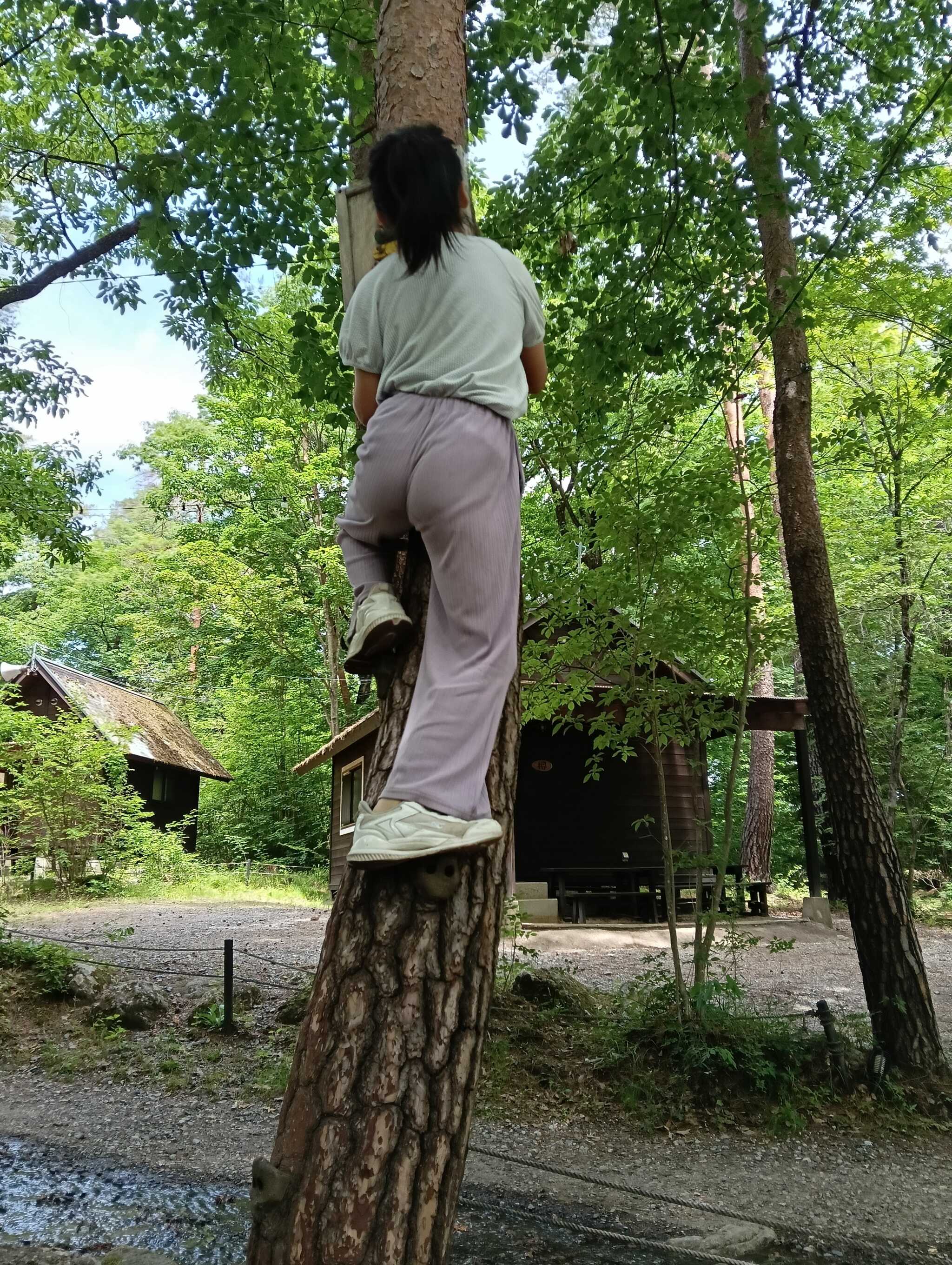 宿泊したバンガローのそばで、木登り