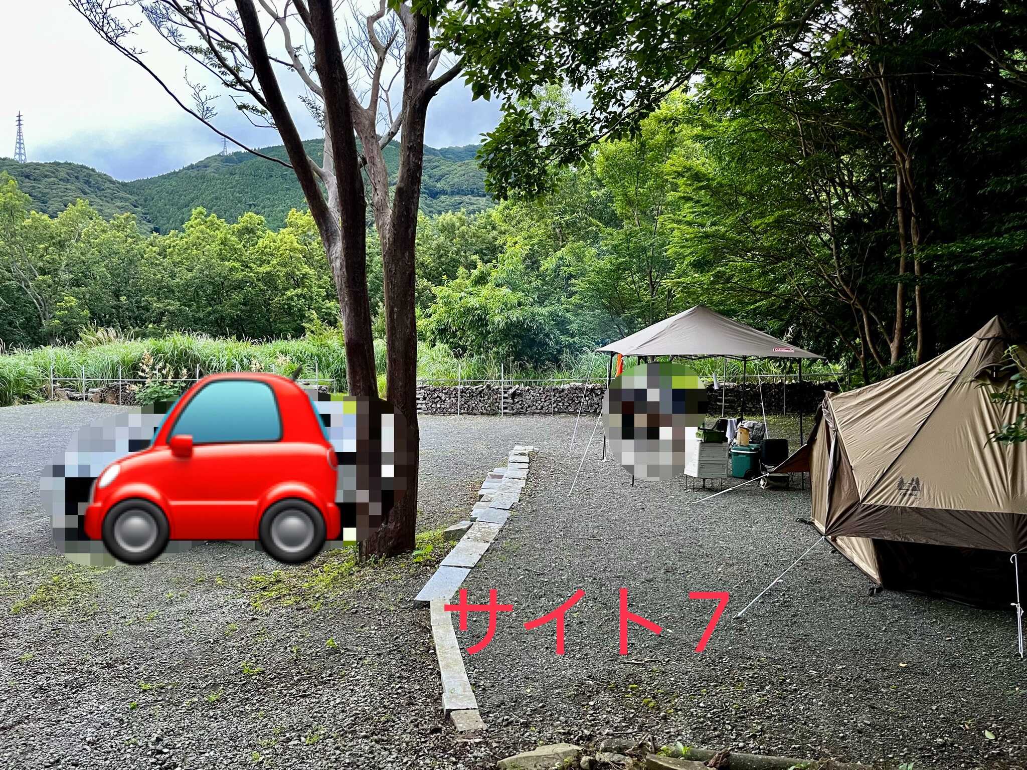 今回利用したサイト7