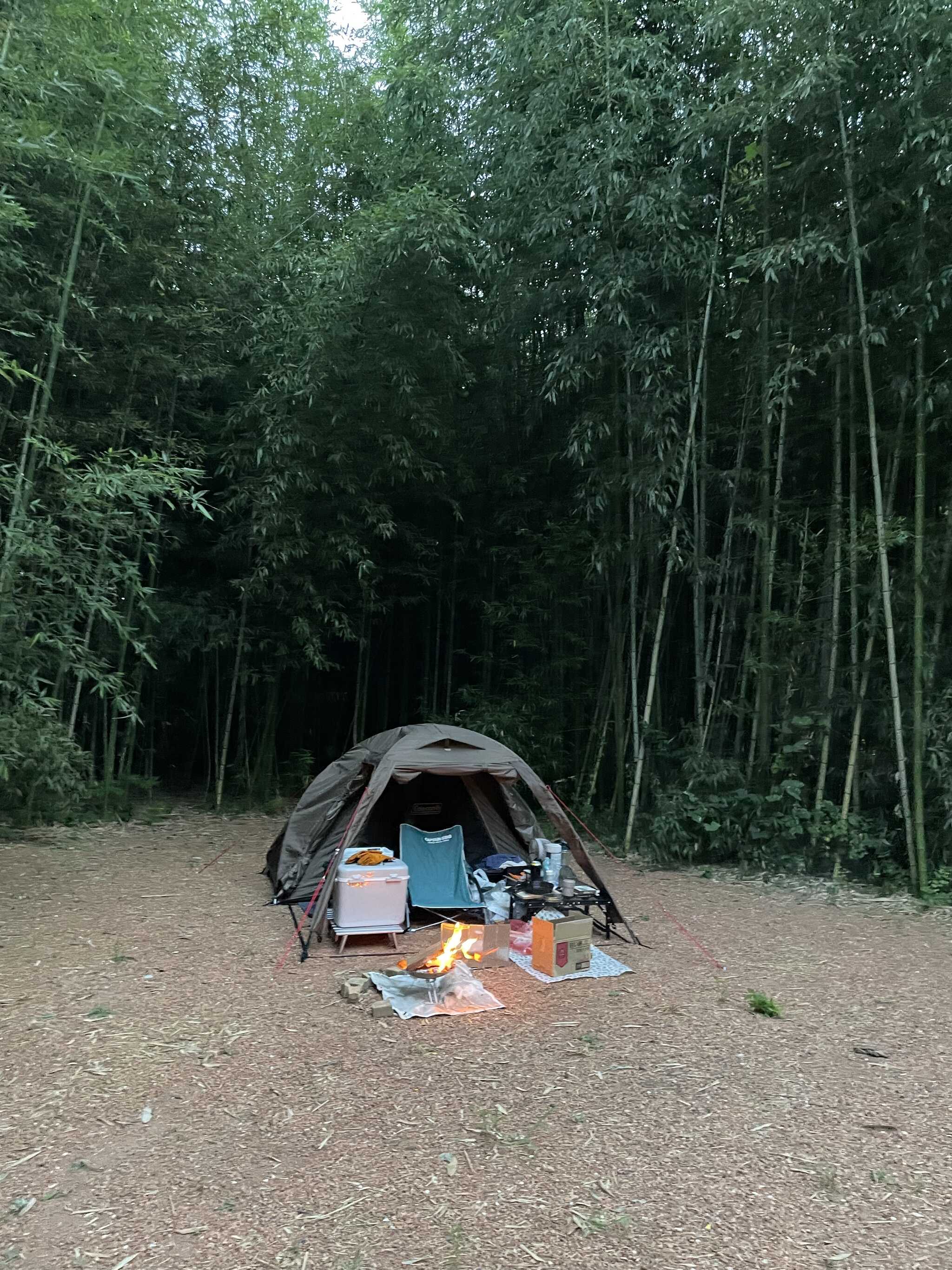 ①サイトの画像