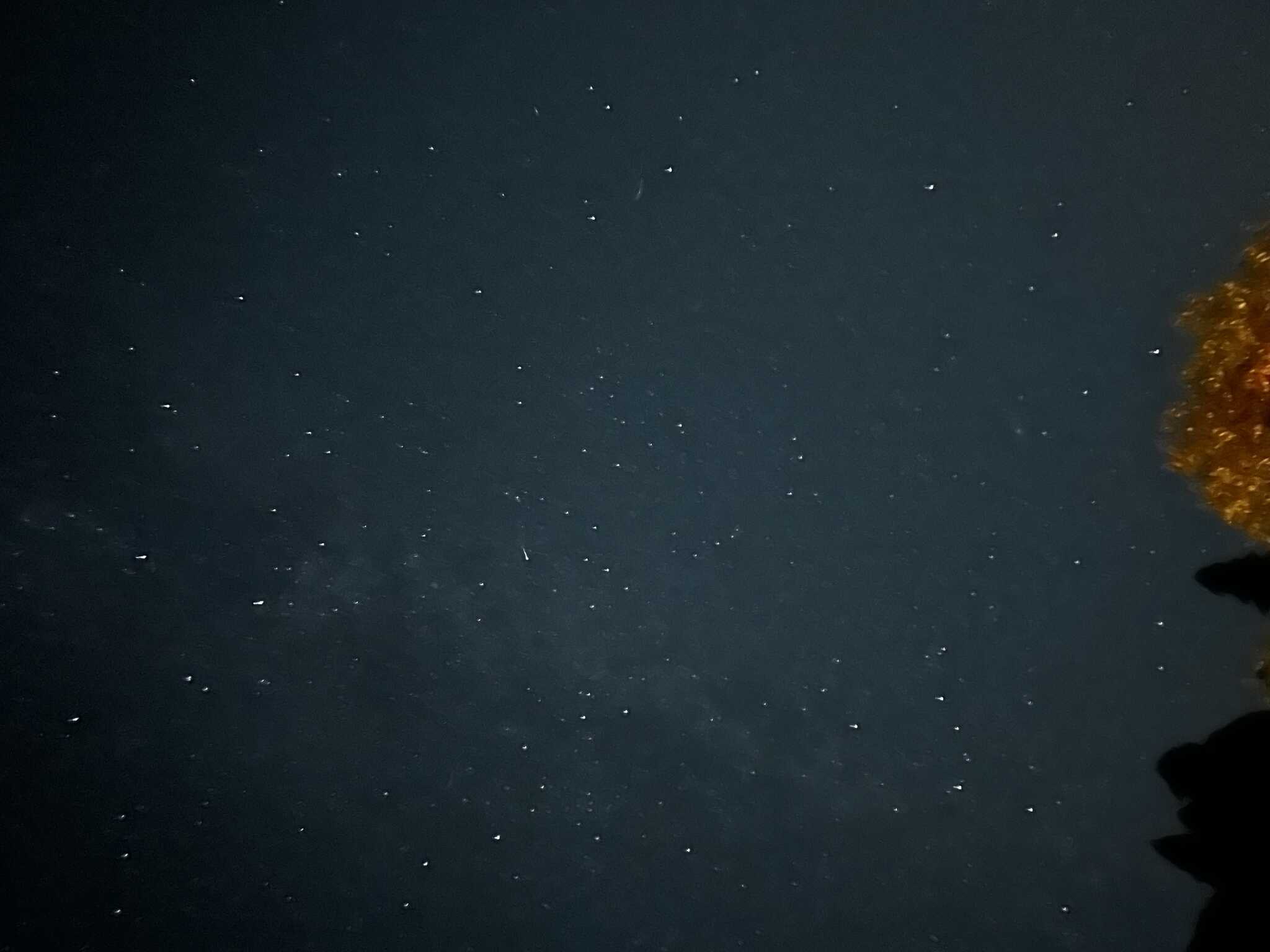きれいな星空でした