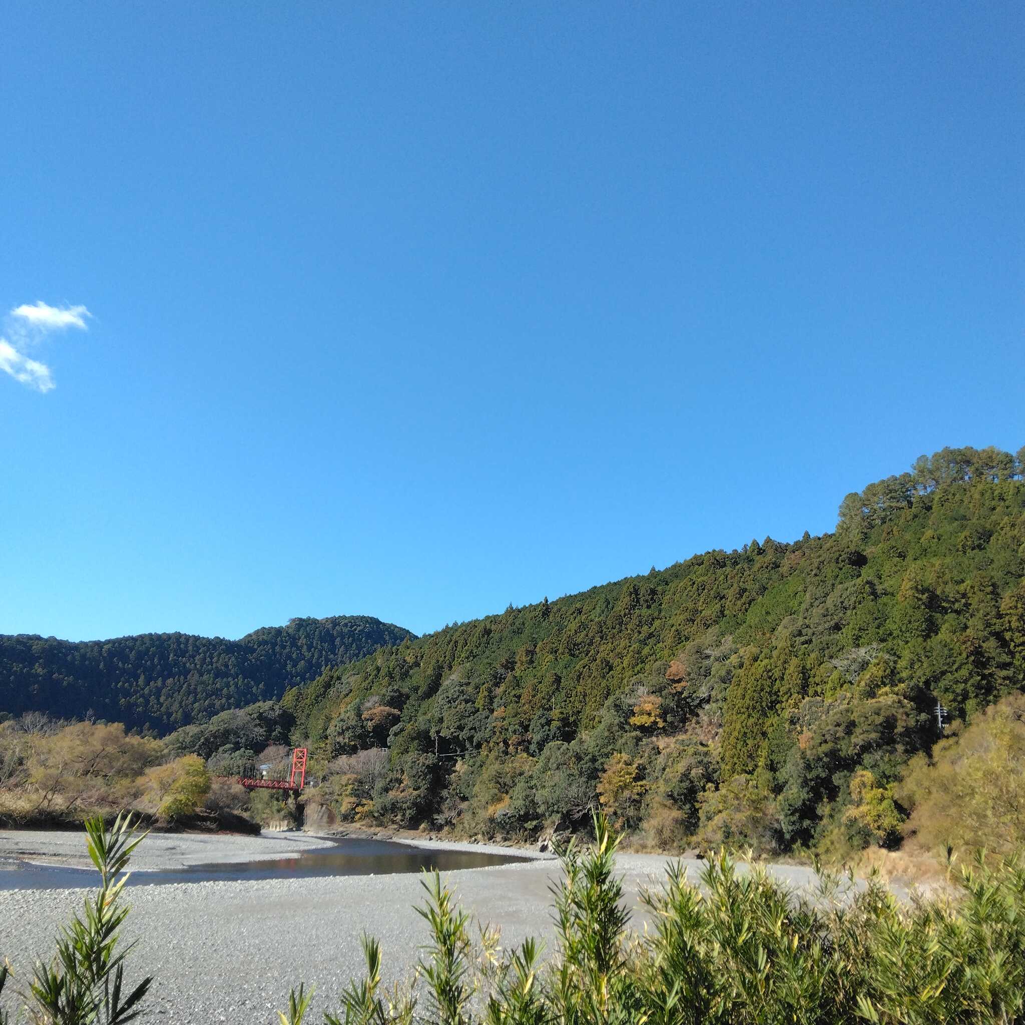 サイトからの景色