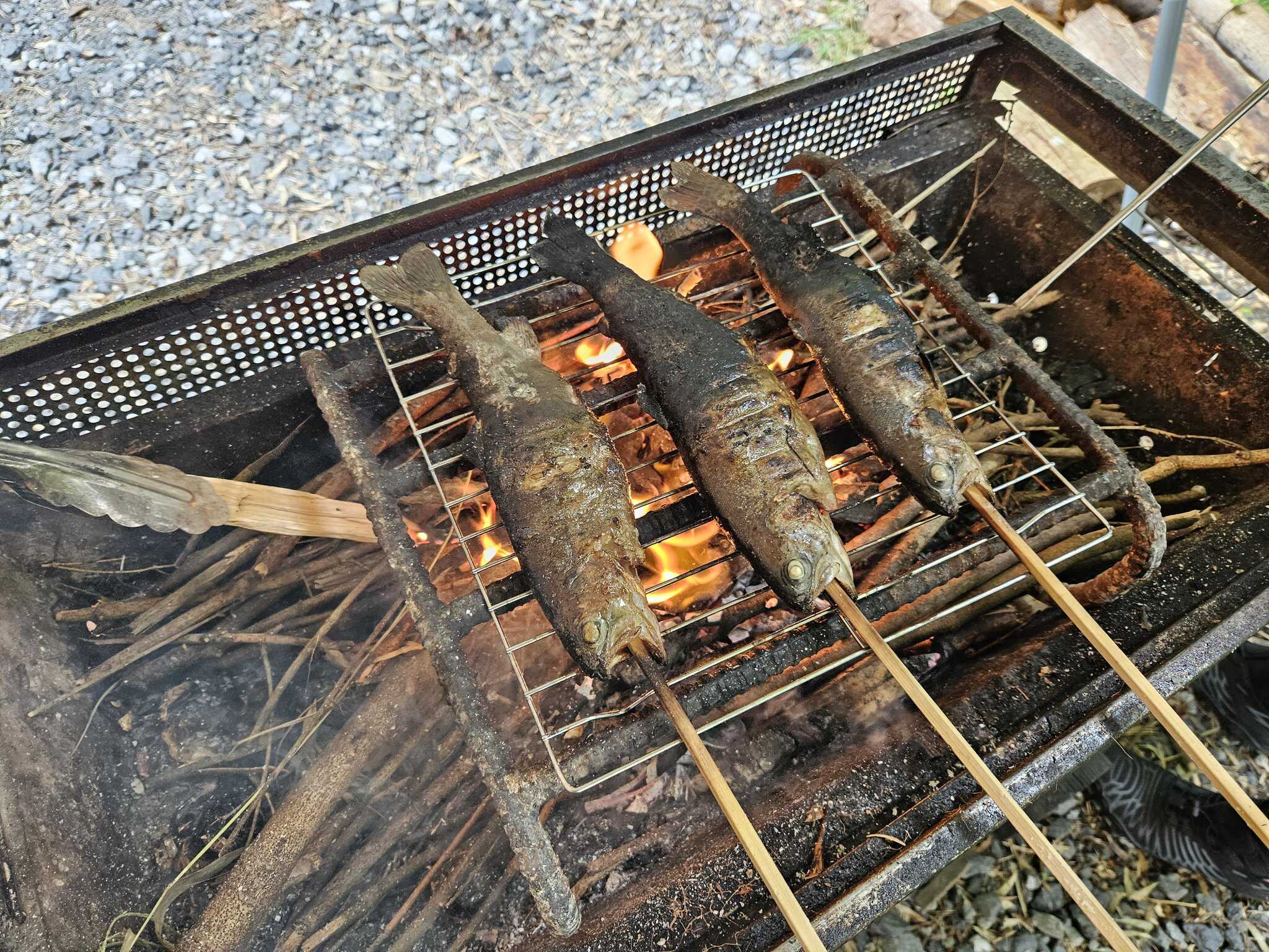 奥多摩フィッシングセンターで釣ったニジマスグリル借りました
