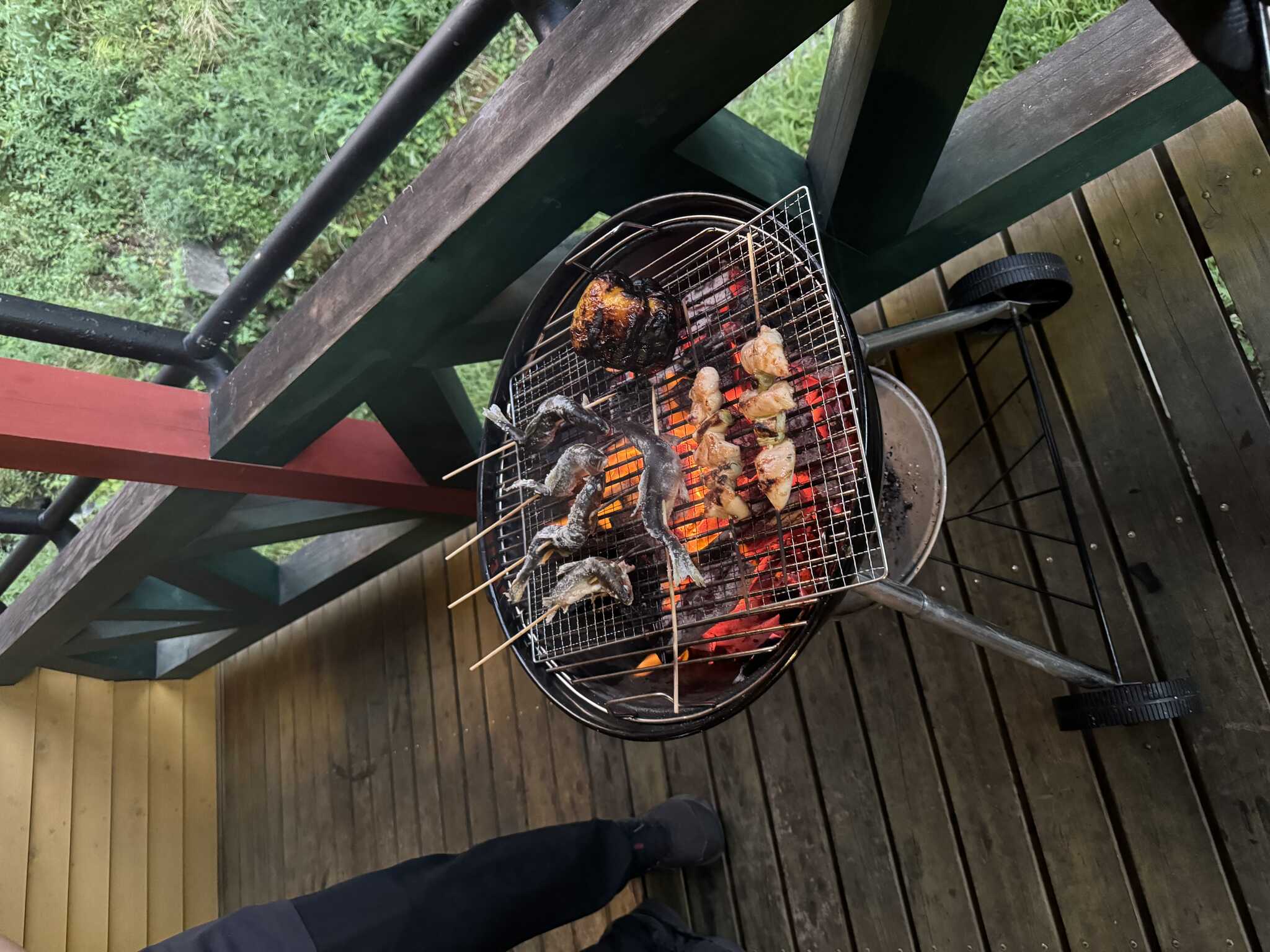 オプションの鮎と持ち込みで焼き鳥