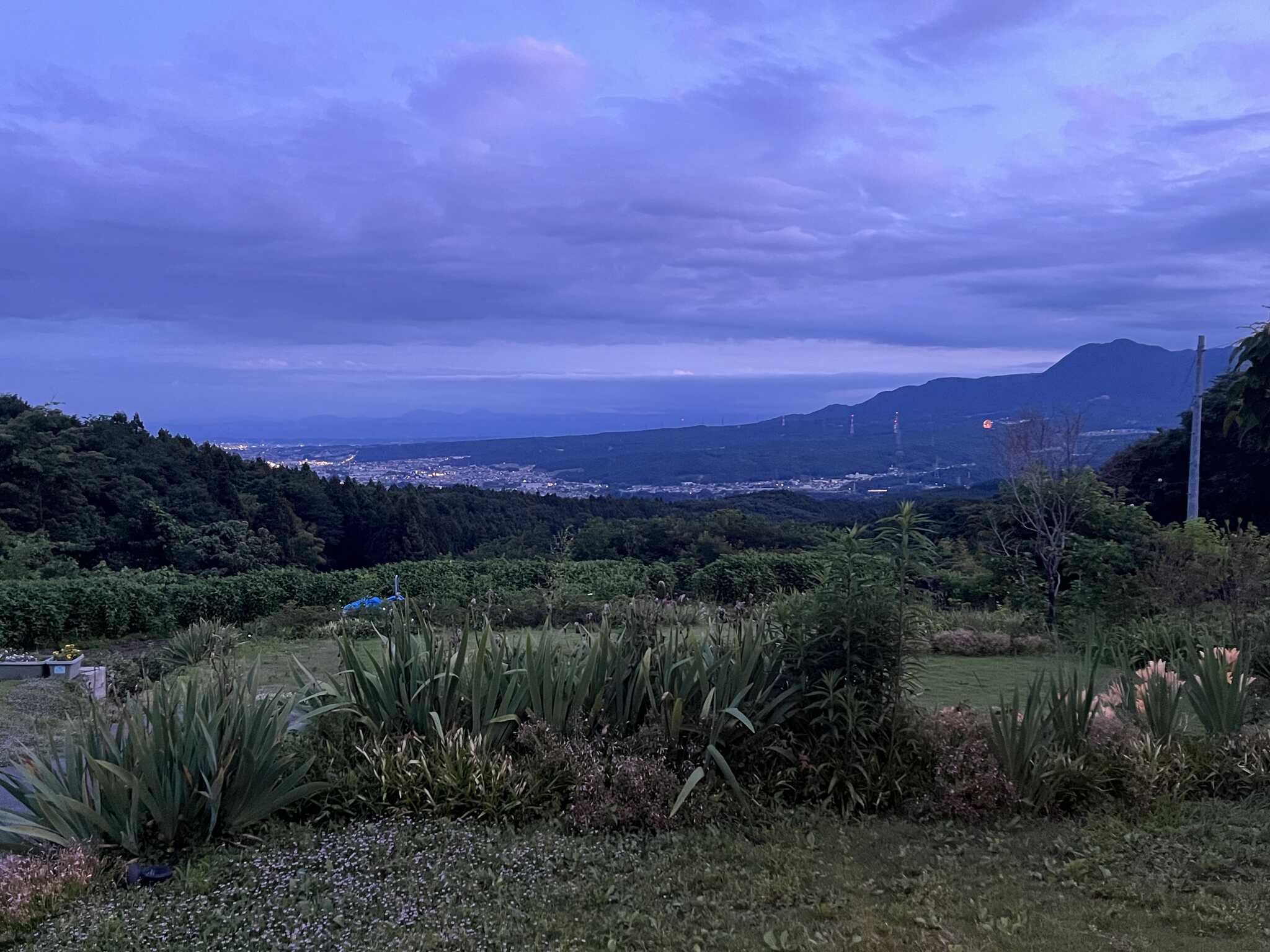 夜景が綺麗でした。