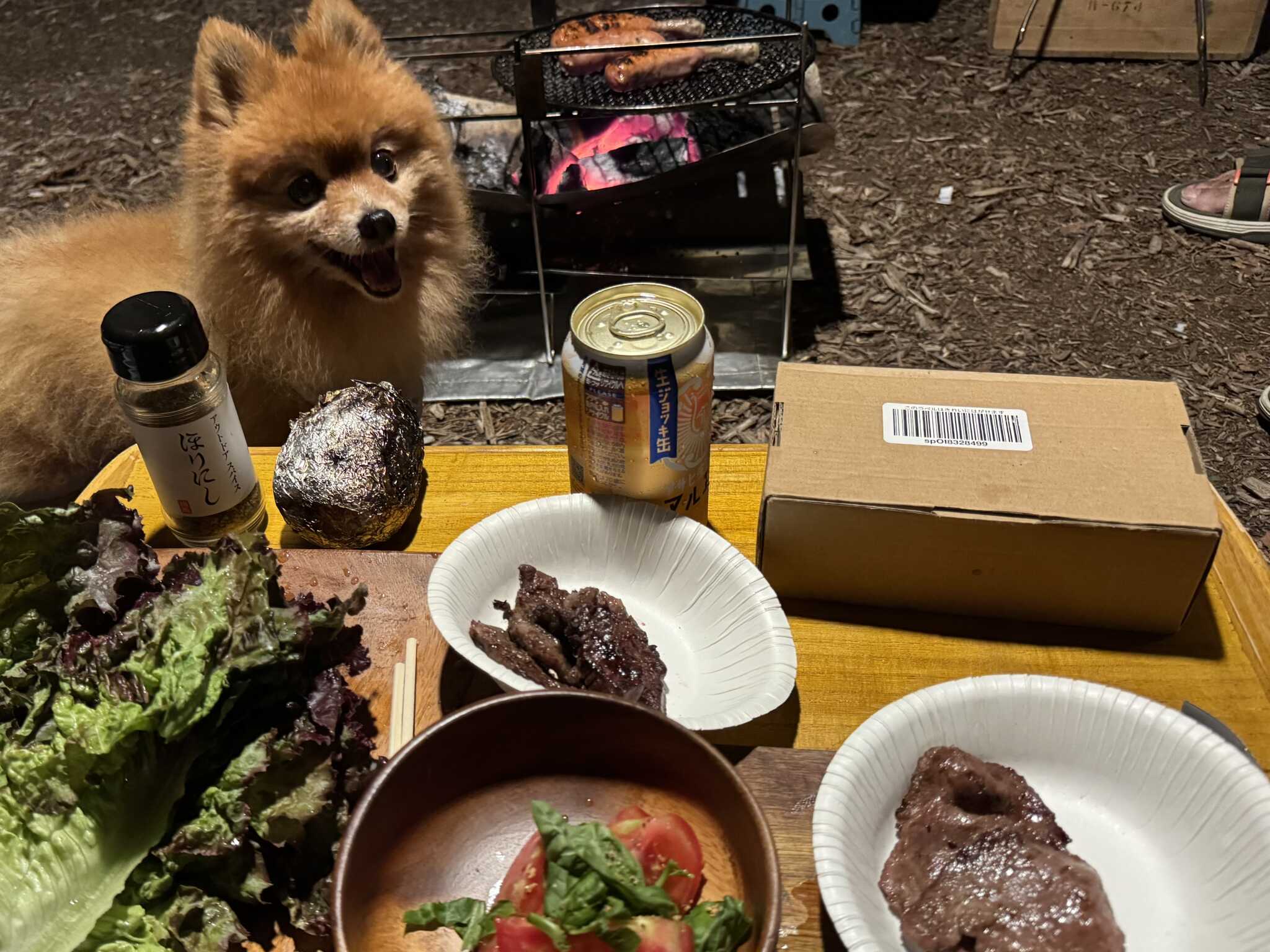 夜は近くのスーパーで買った食材でバーベキュー