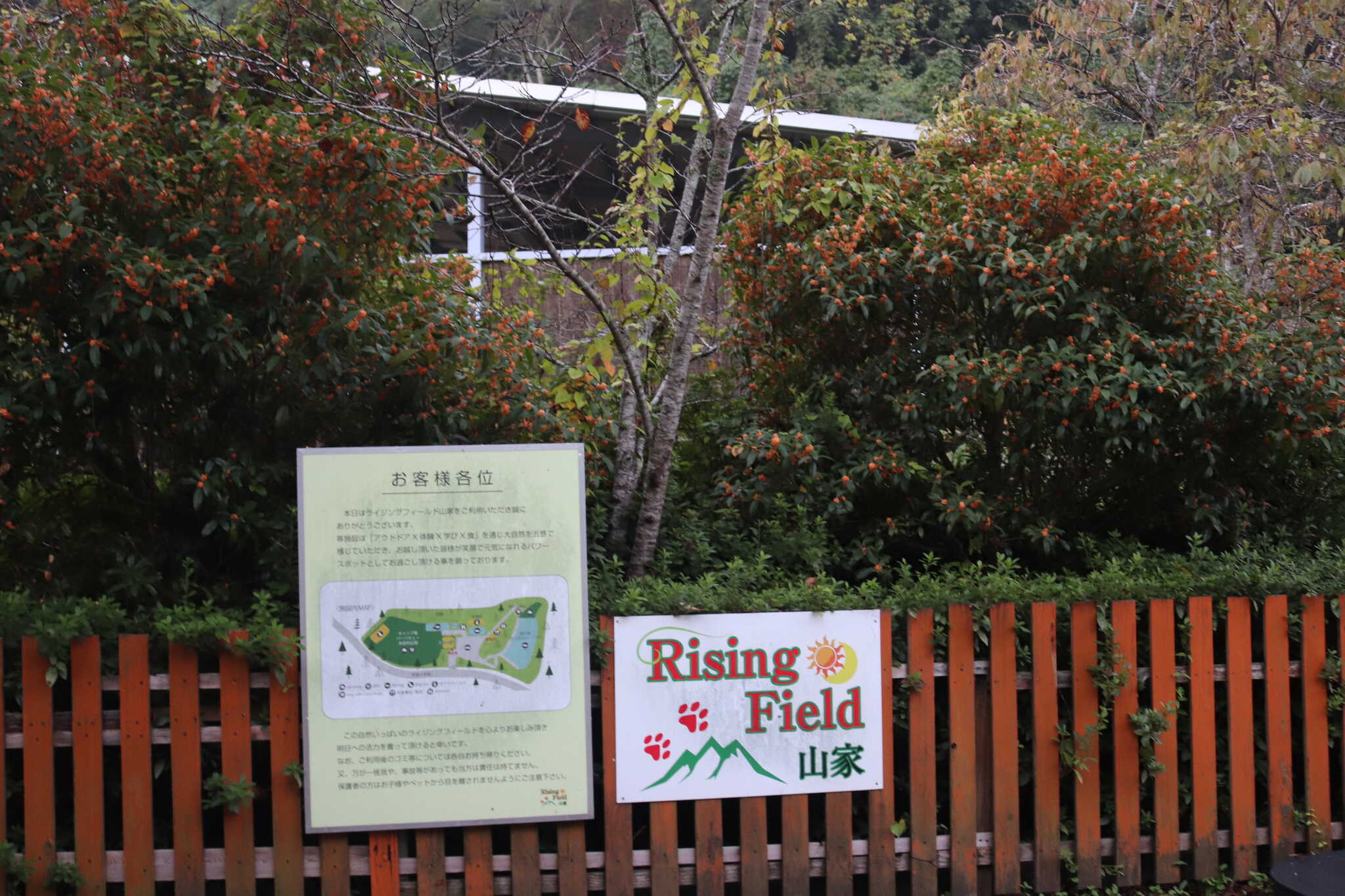 キャンプ場入口