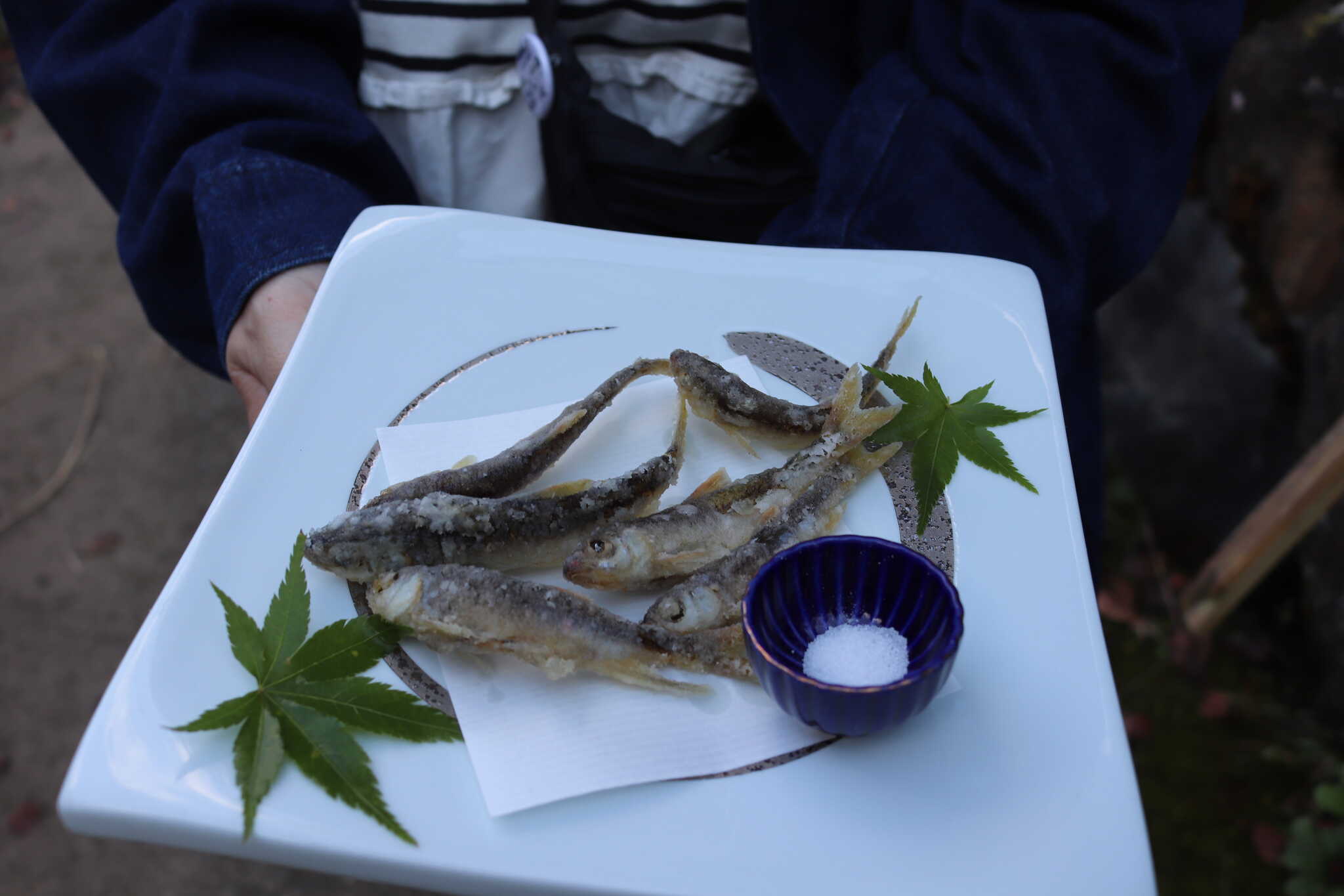 ハヤのからあげ