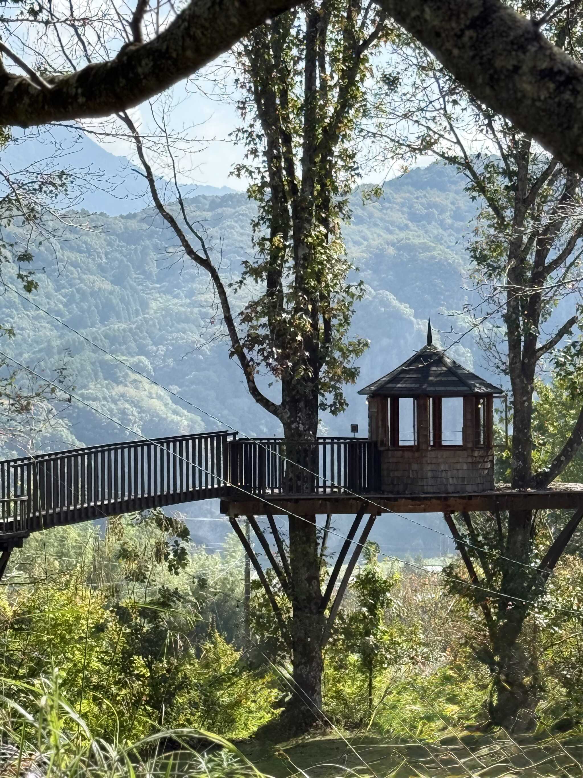 ここからの景色最高