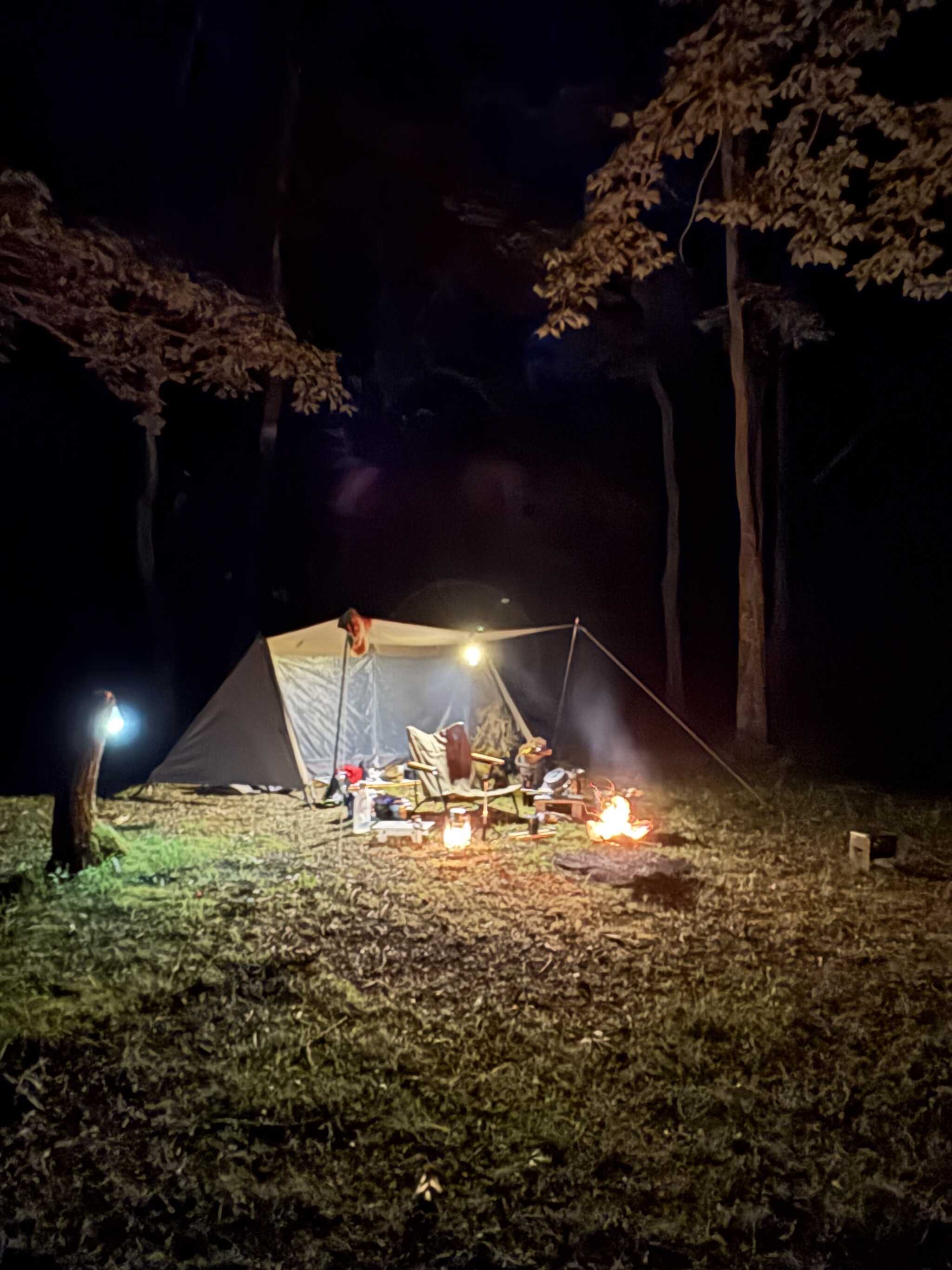 夜の様子