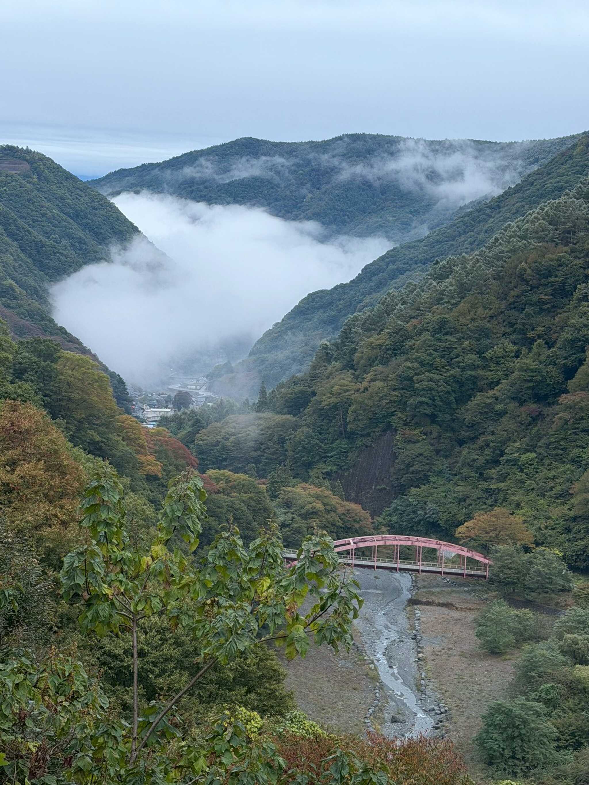 雲海みえたー!