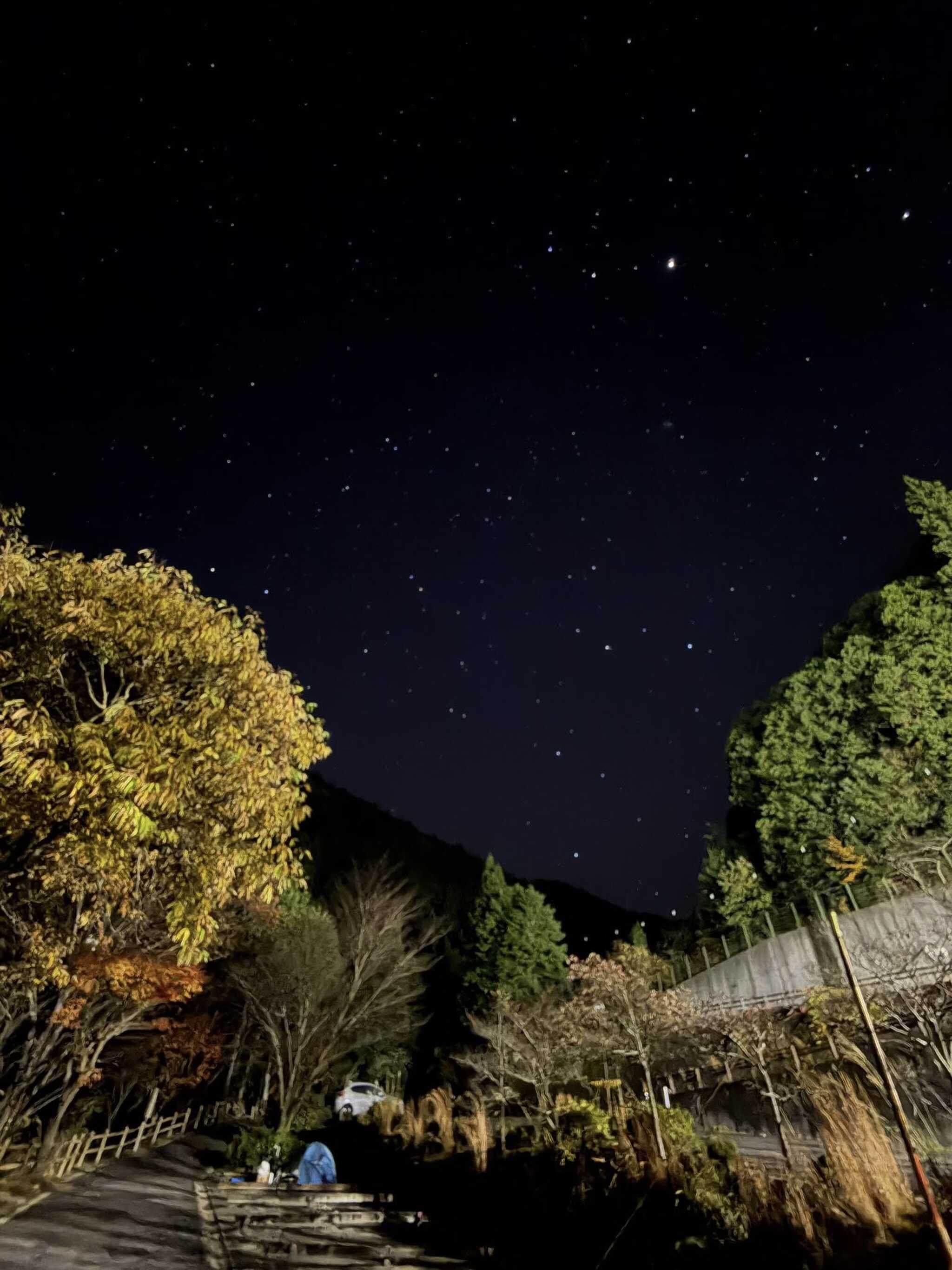 夜の星空