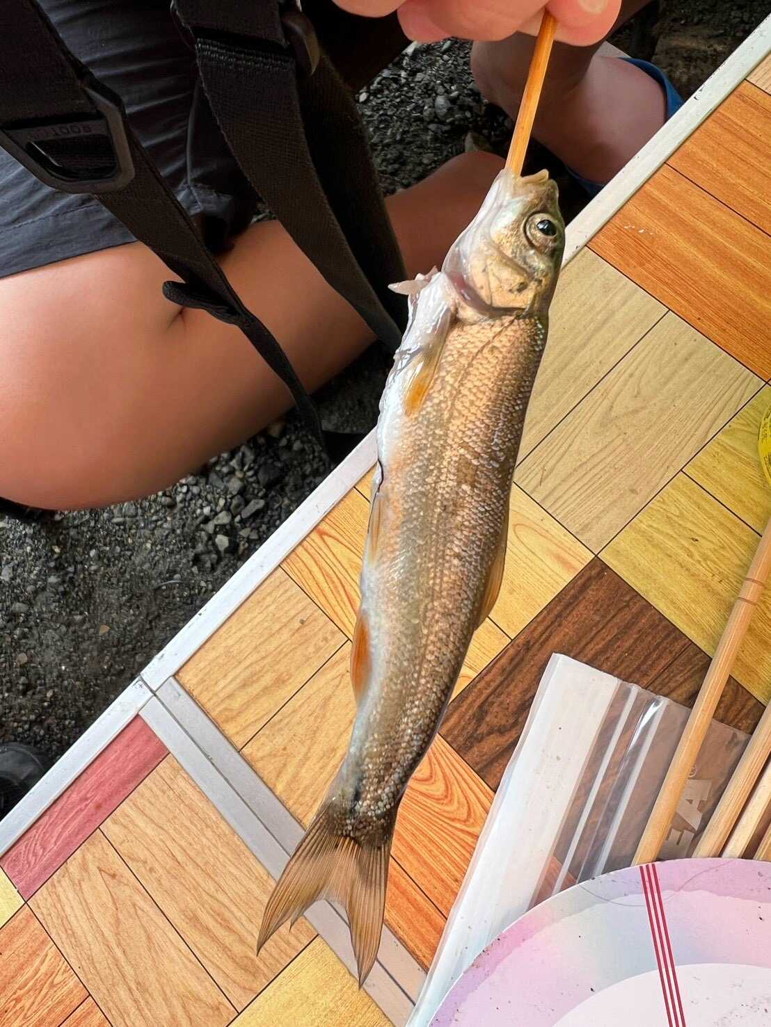 たくさん釣れておいしくいただきました