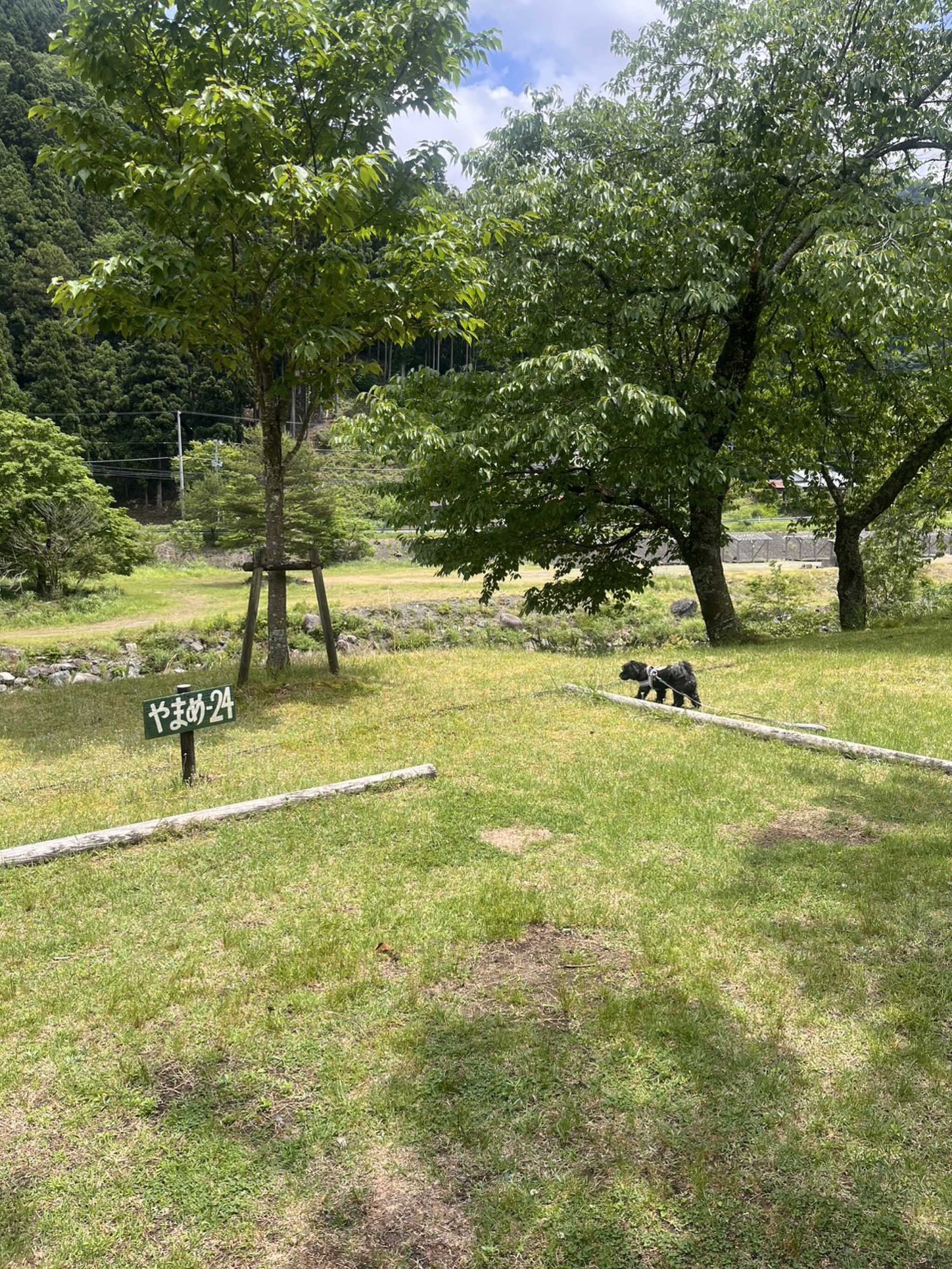 川沿で心地よい風がらふく