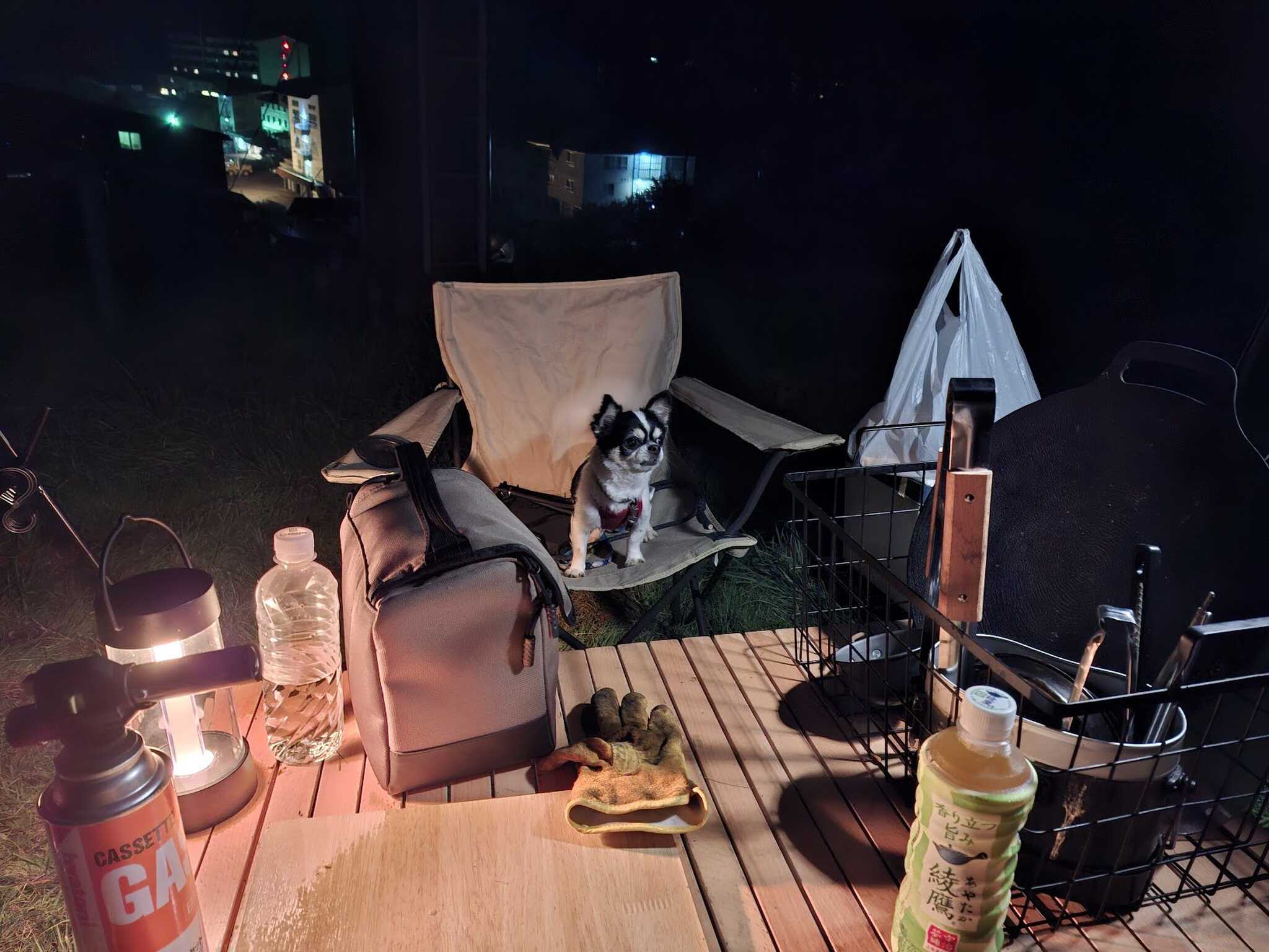 愛犬と一緒に