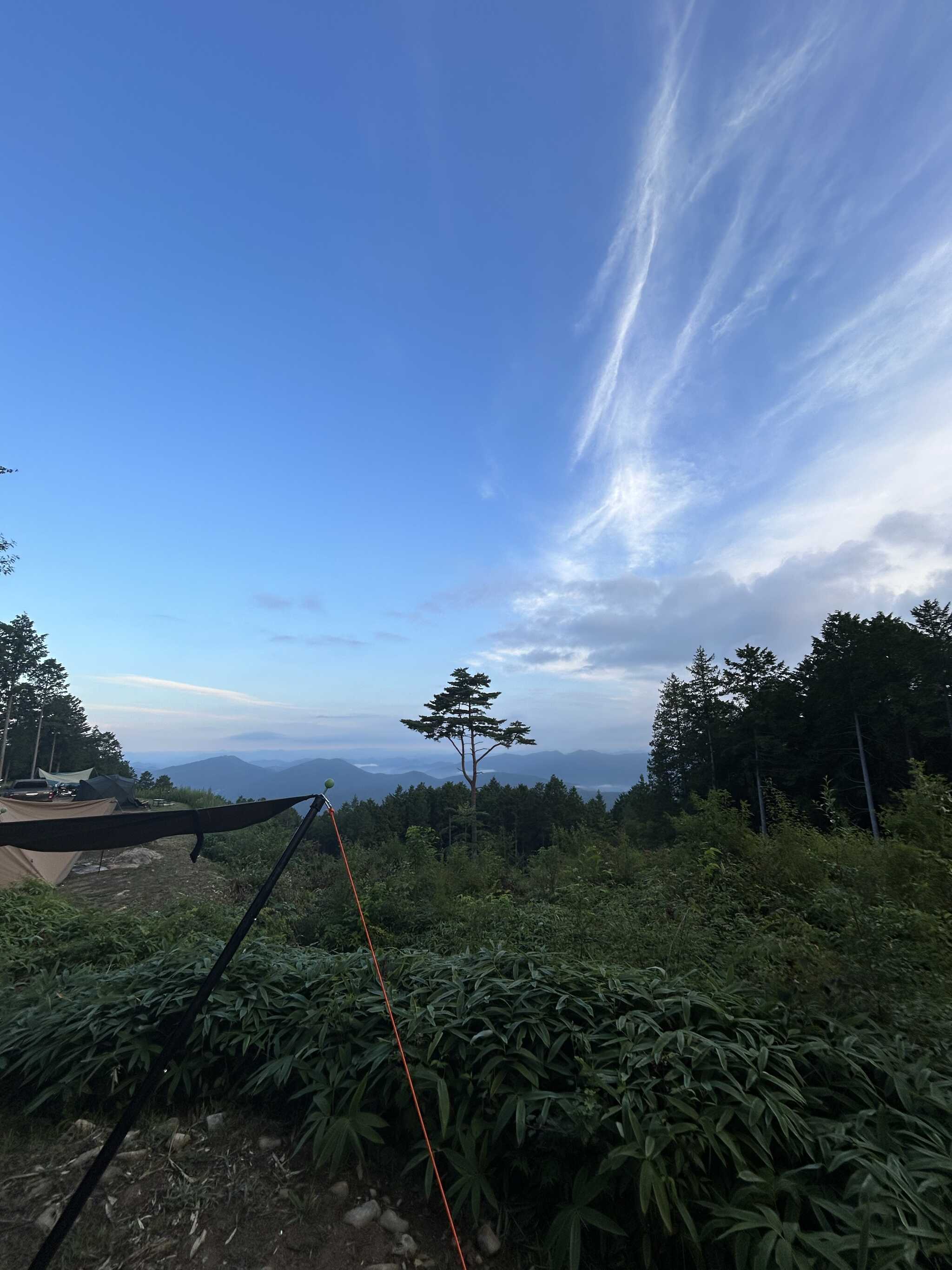 雲海は見れませんでしたが眺望は最高