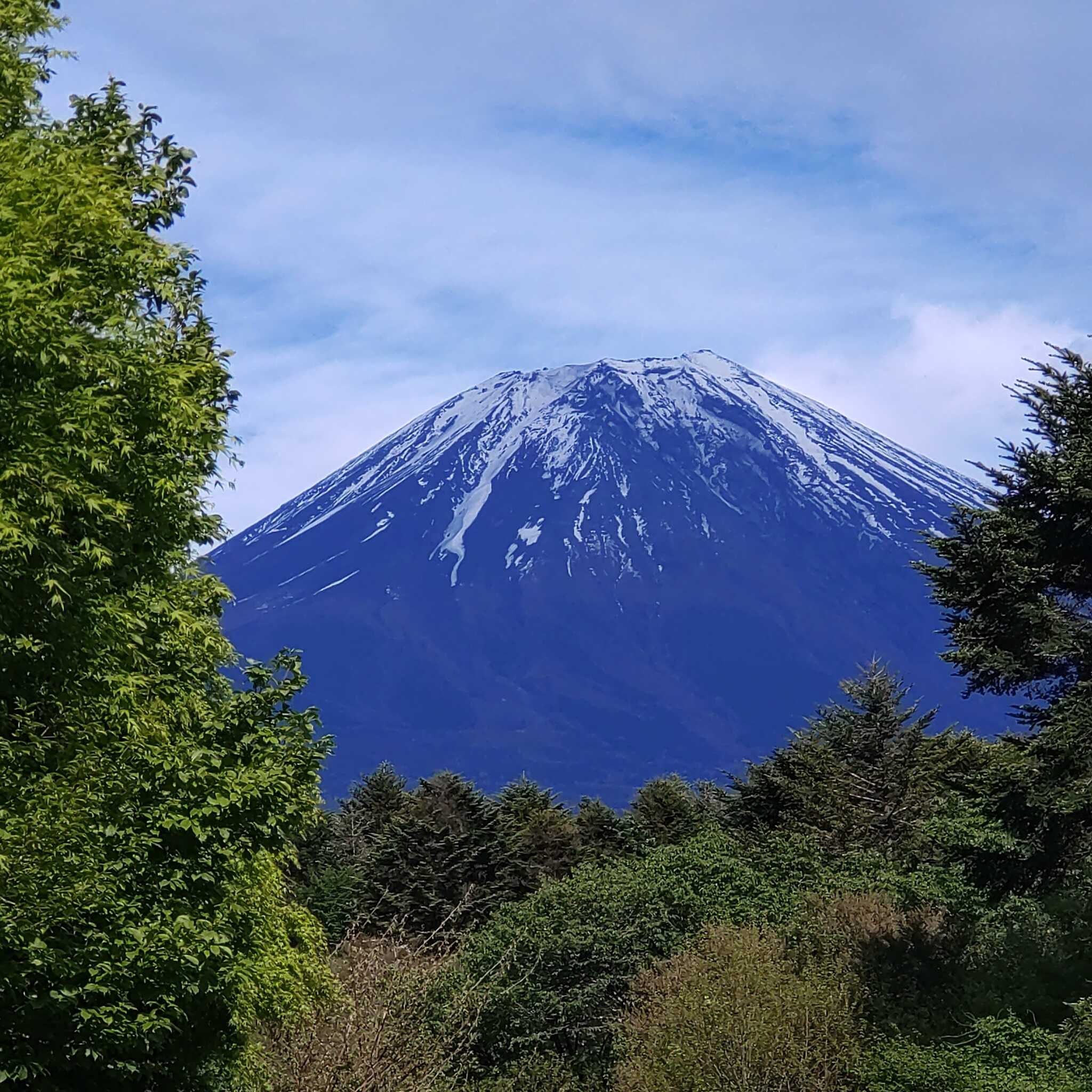 富士さん❤