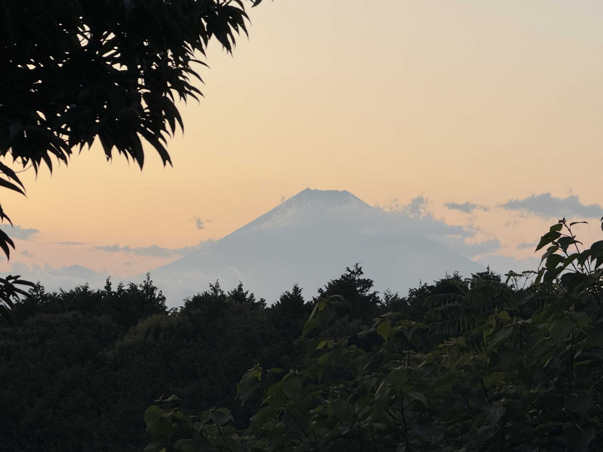 富士山