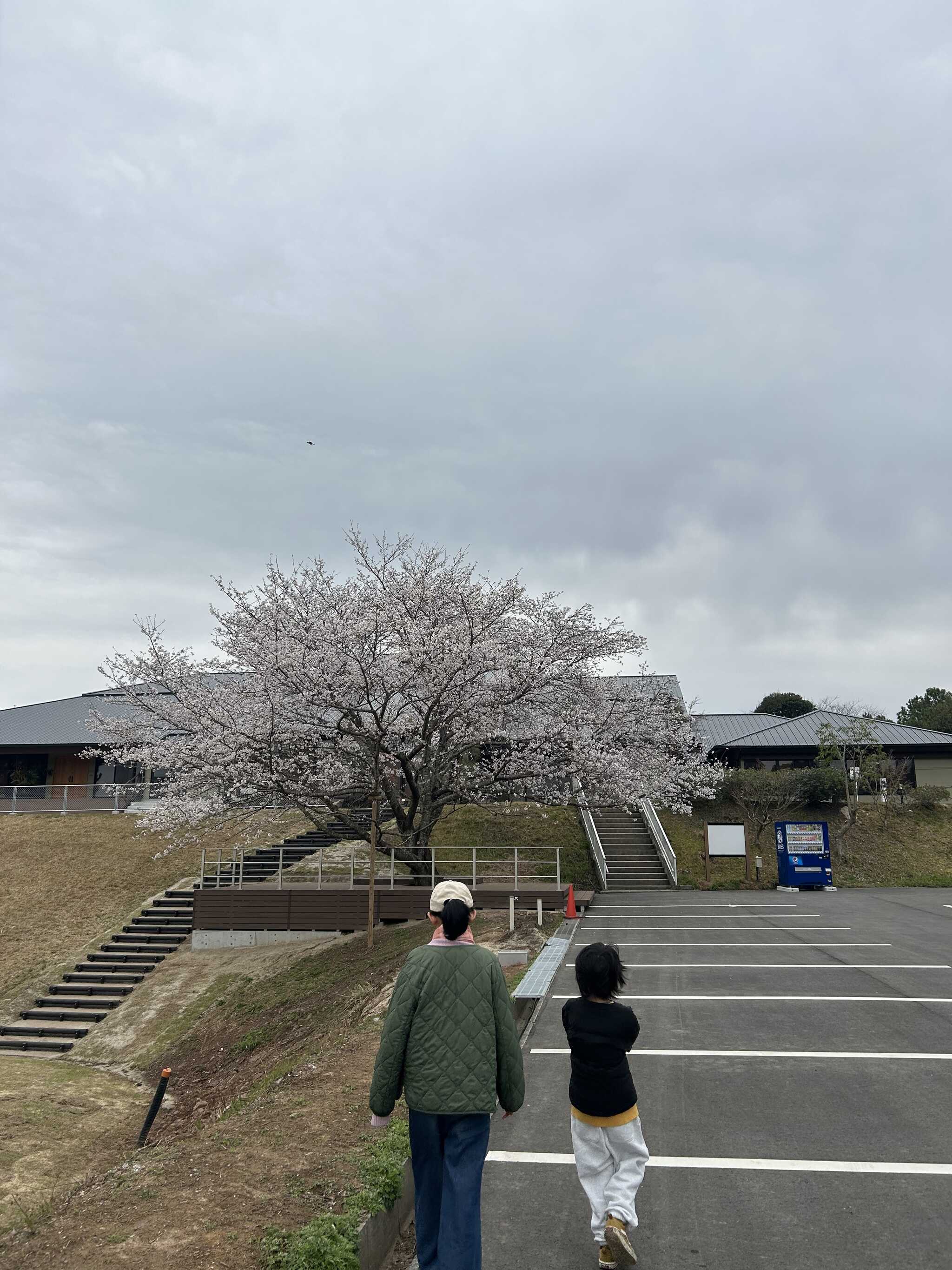 朝方の散歩(くもり)