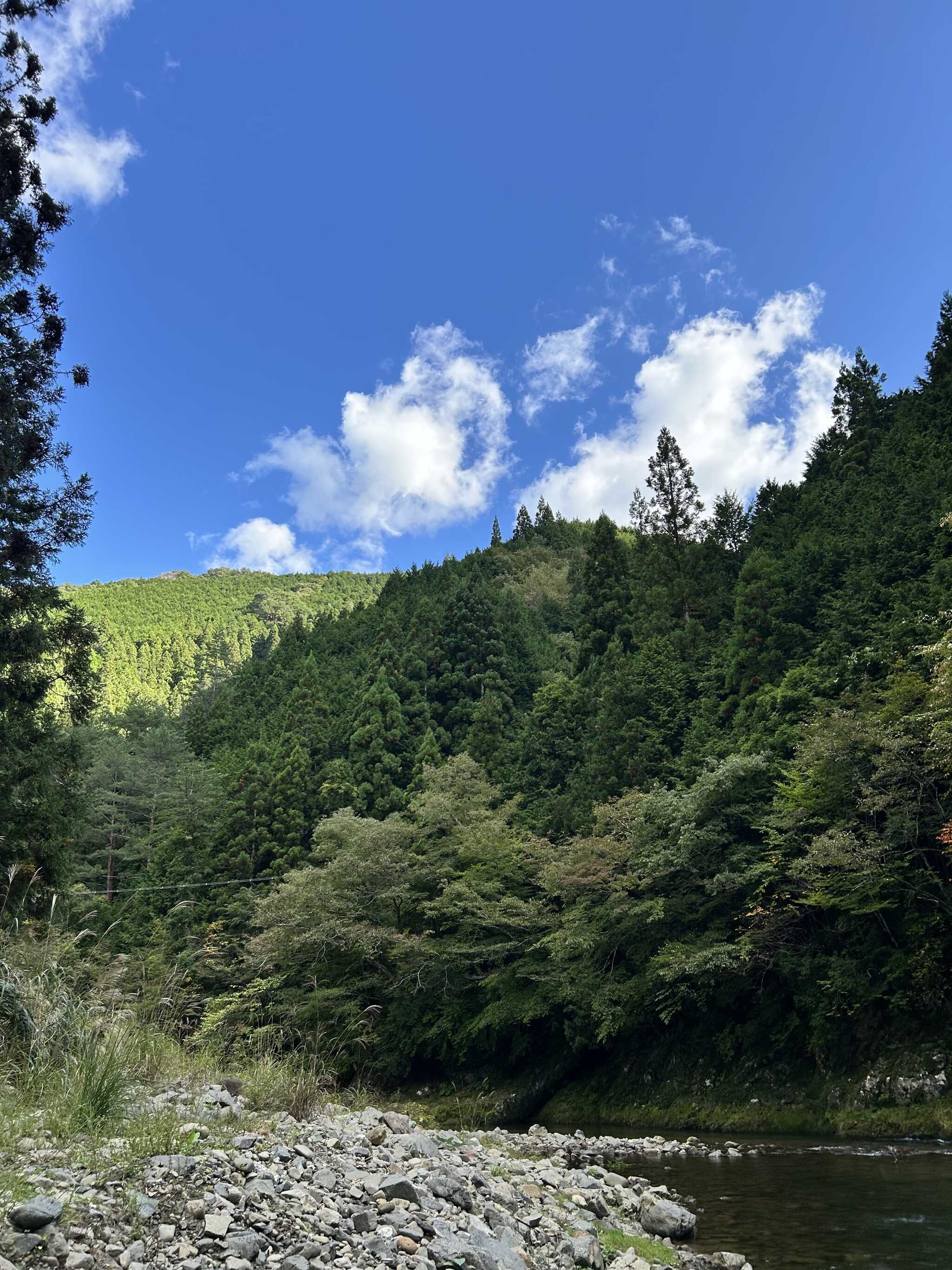 川も綺麗