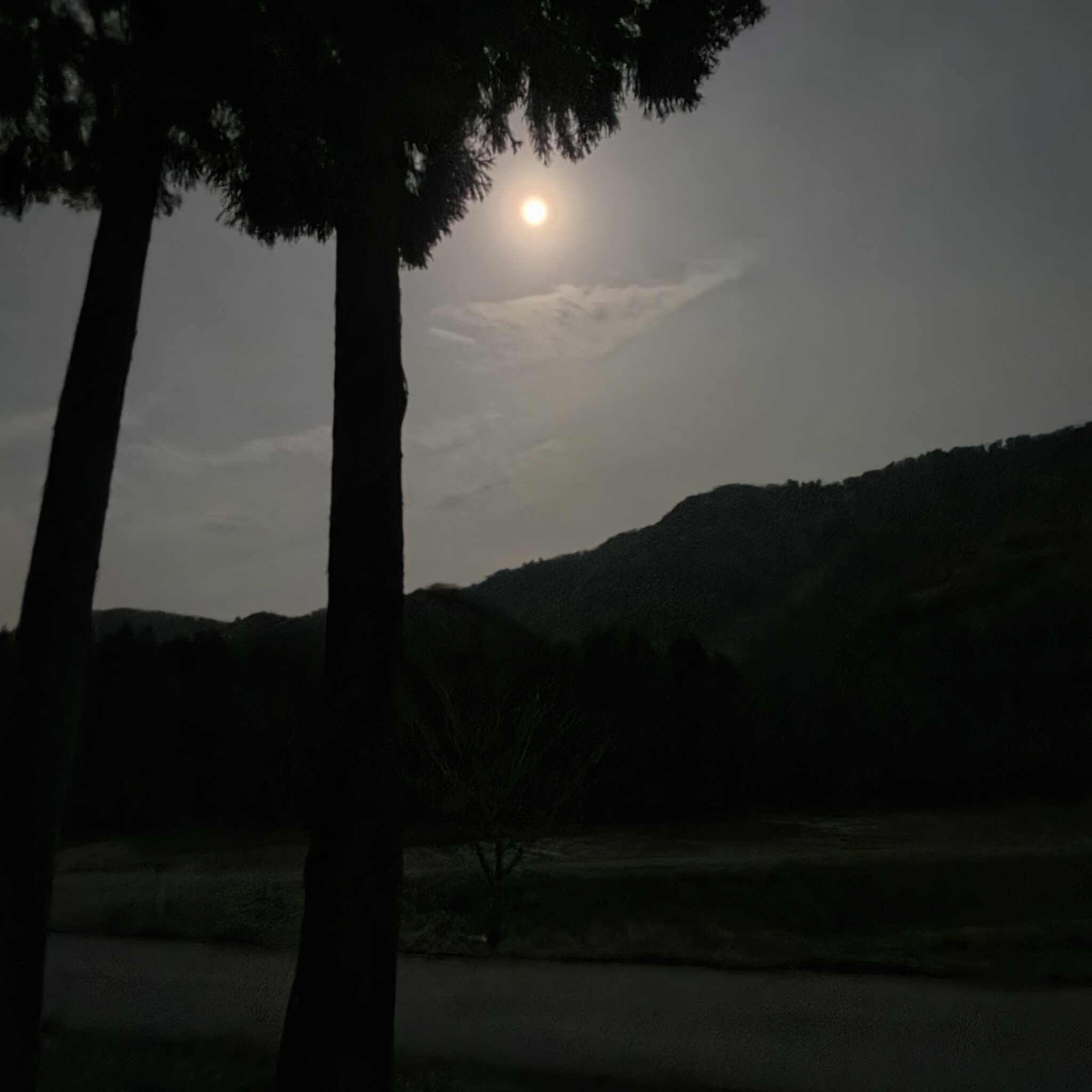 夜空