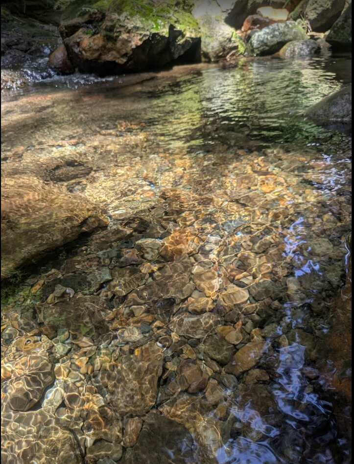 蛍の小川