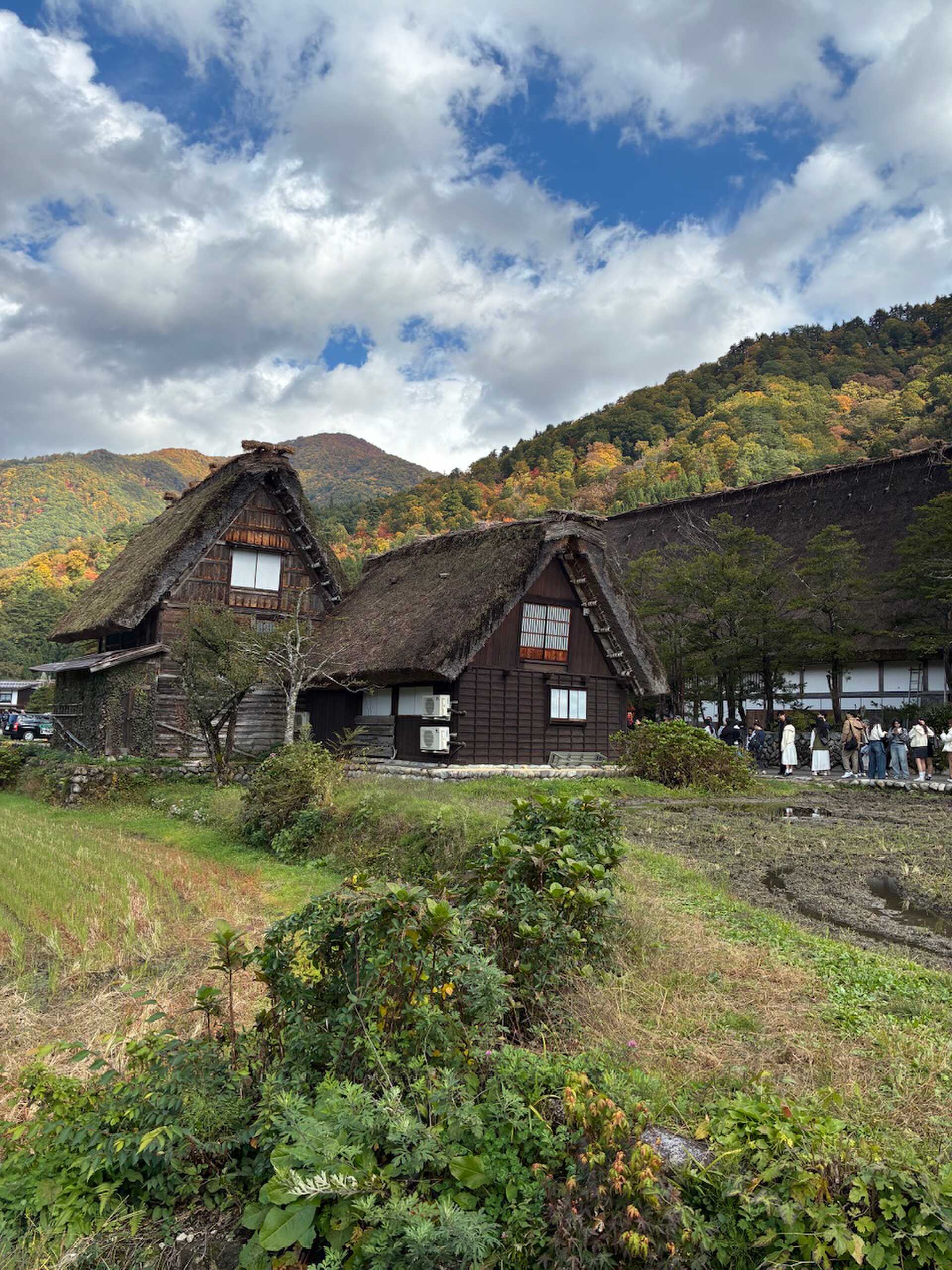 合唱屋根