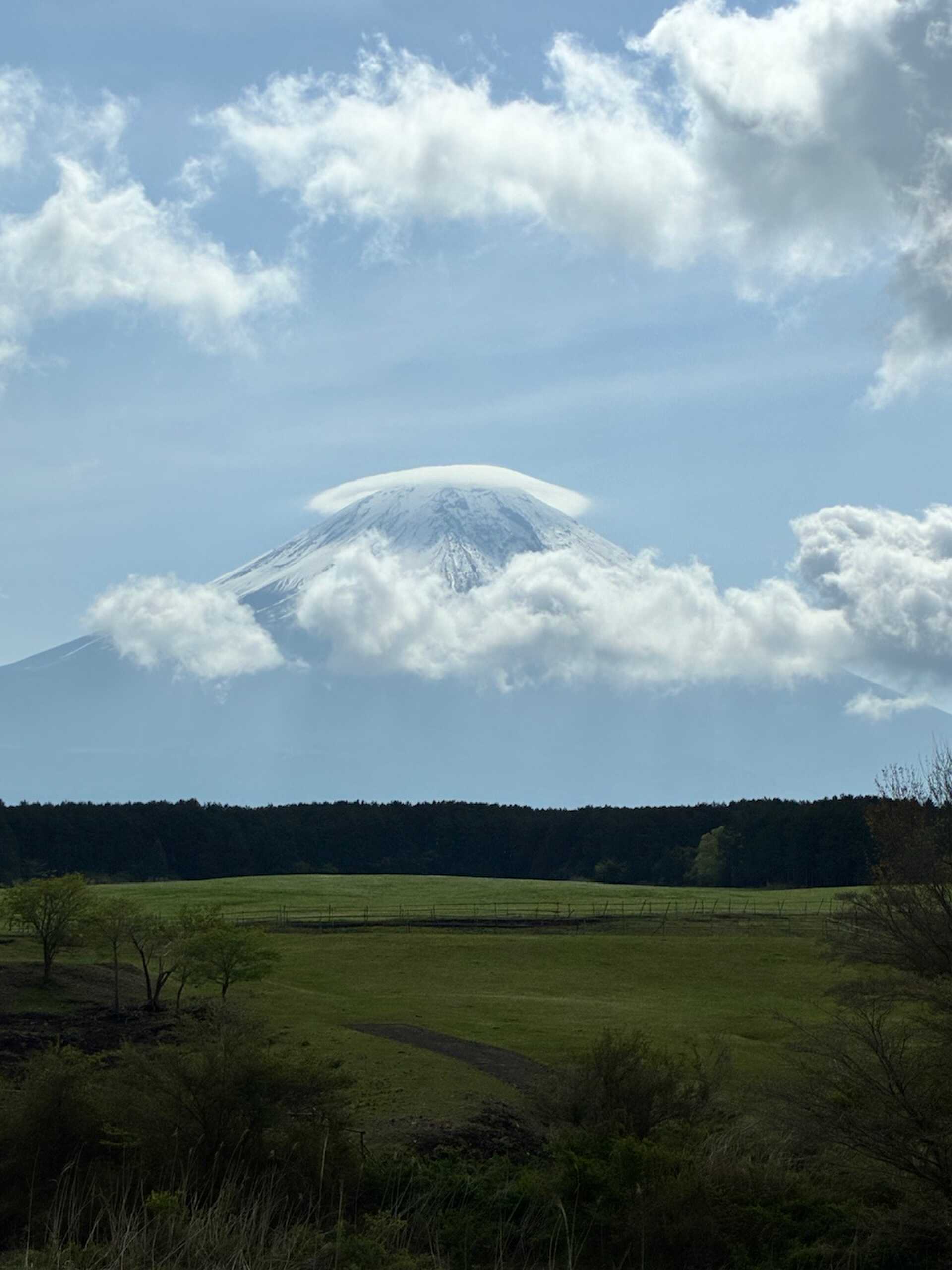 ここをキャンプ地とする