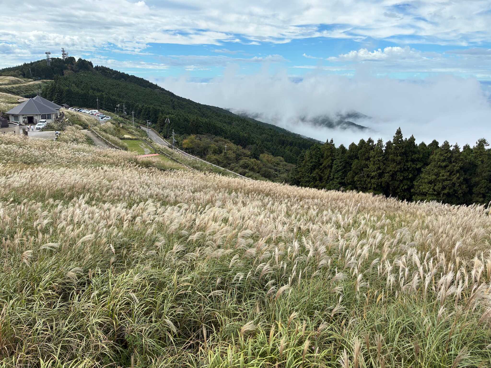 展望台から