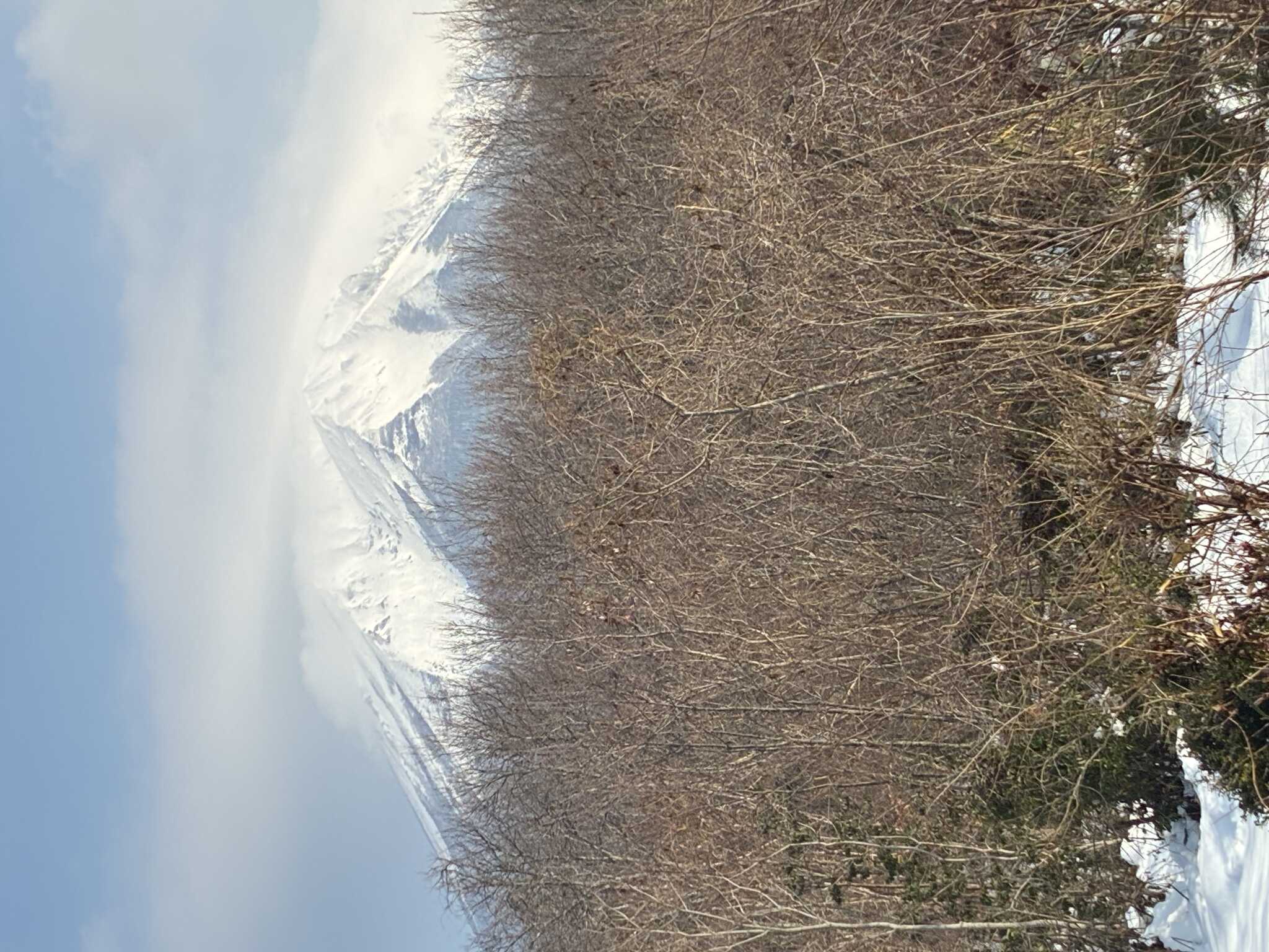 サイトから
