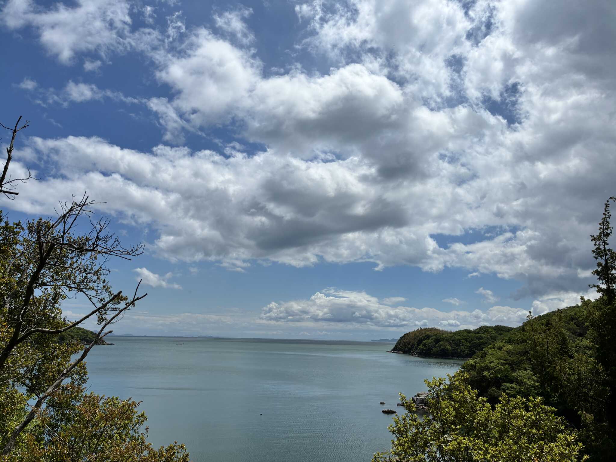 瀬戸内海の森キャンプ場の口コミ投稿写真