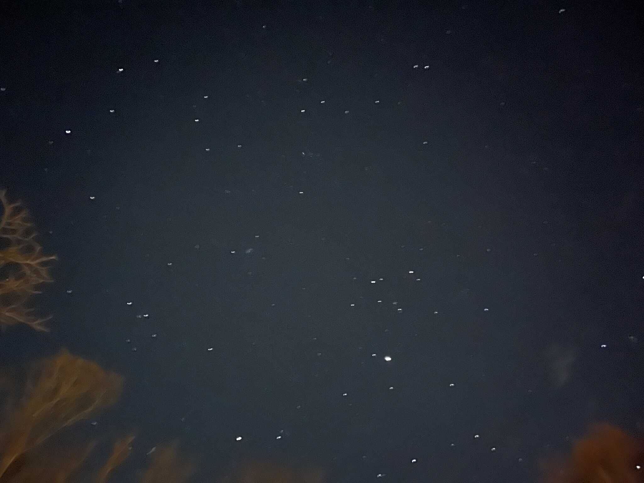 満天の星空