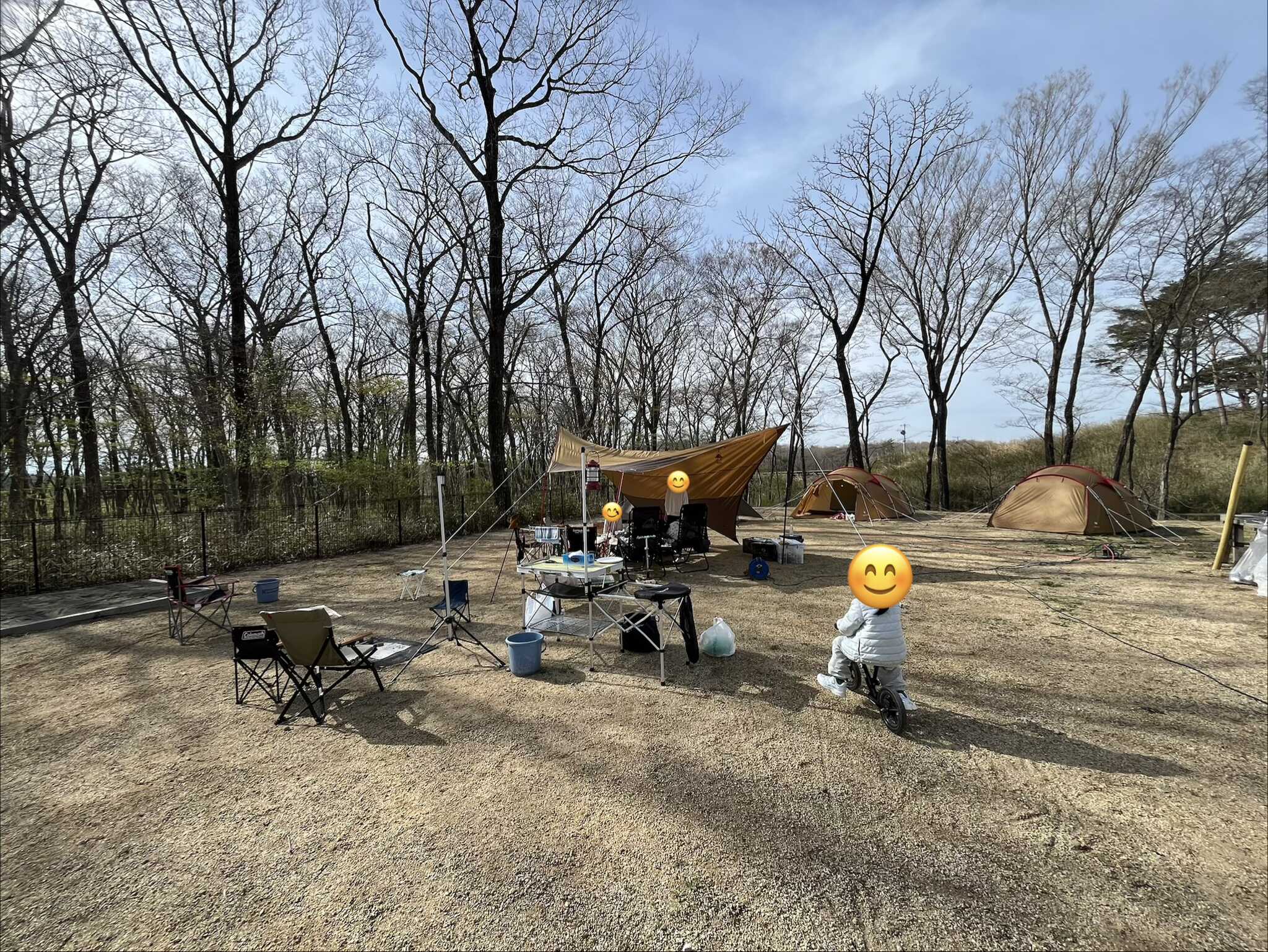 サイトの様子