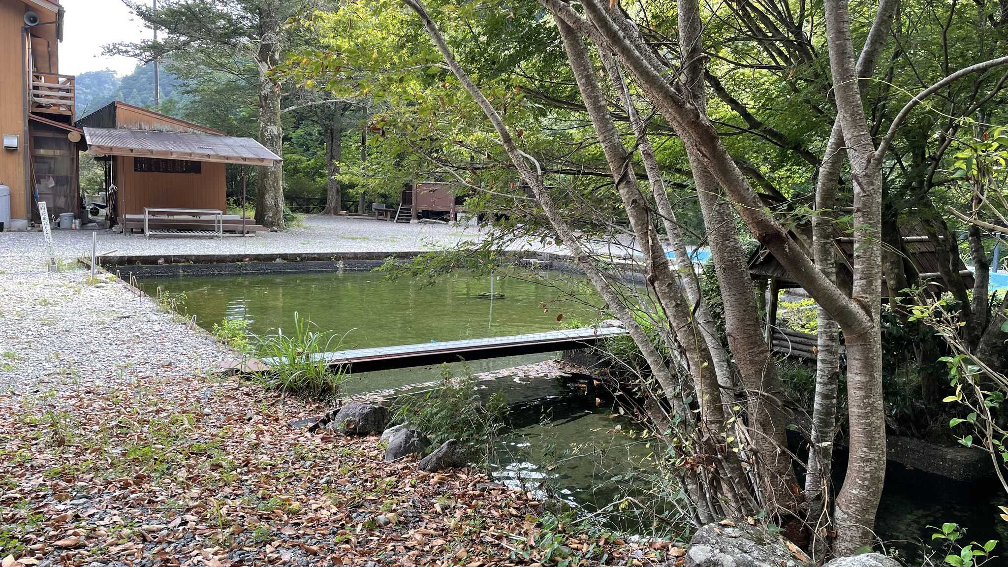 釣り堀