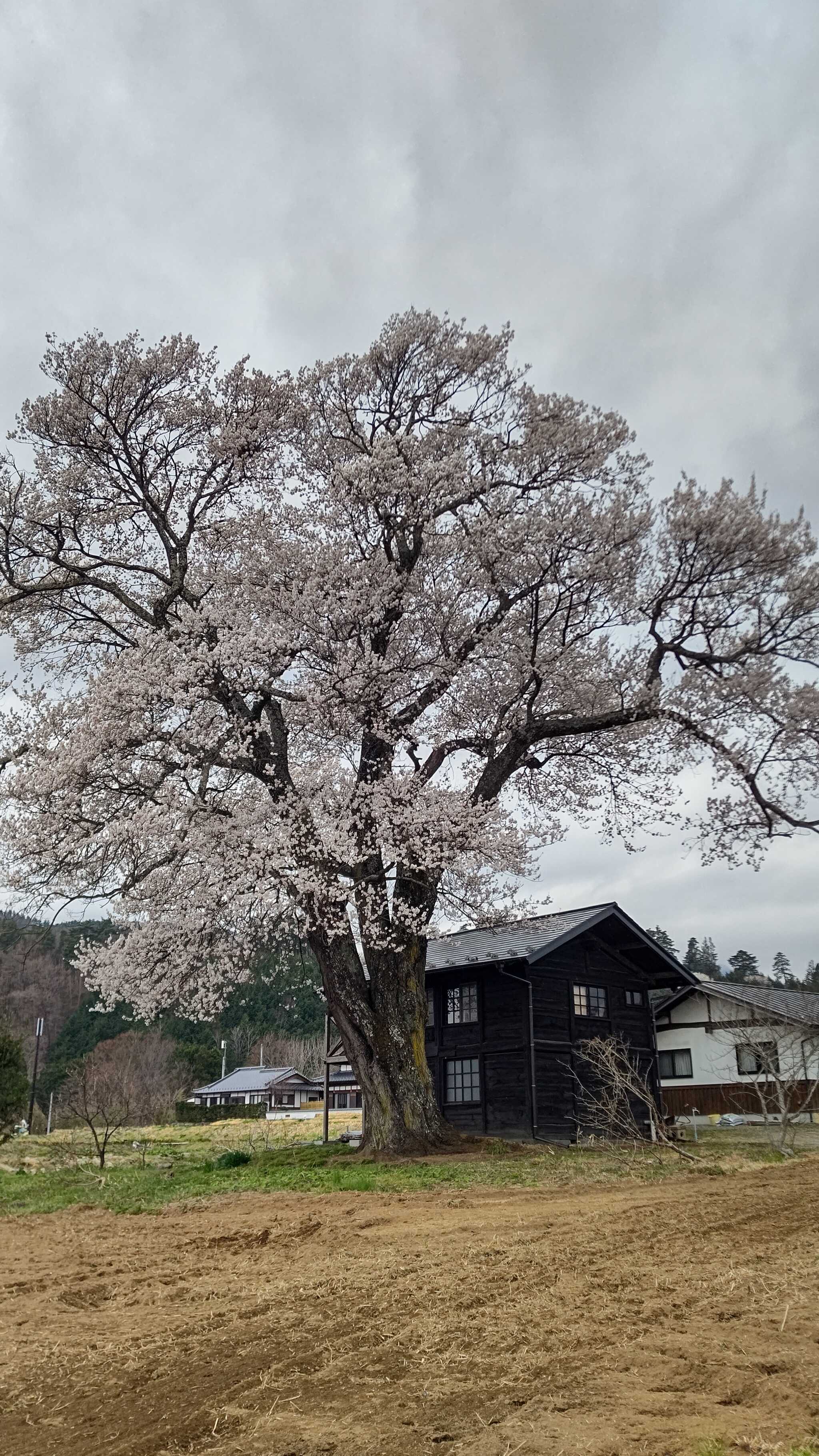 近隣の名所