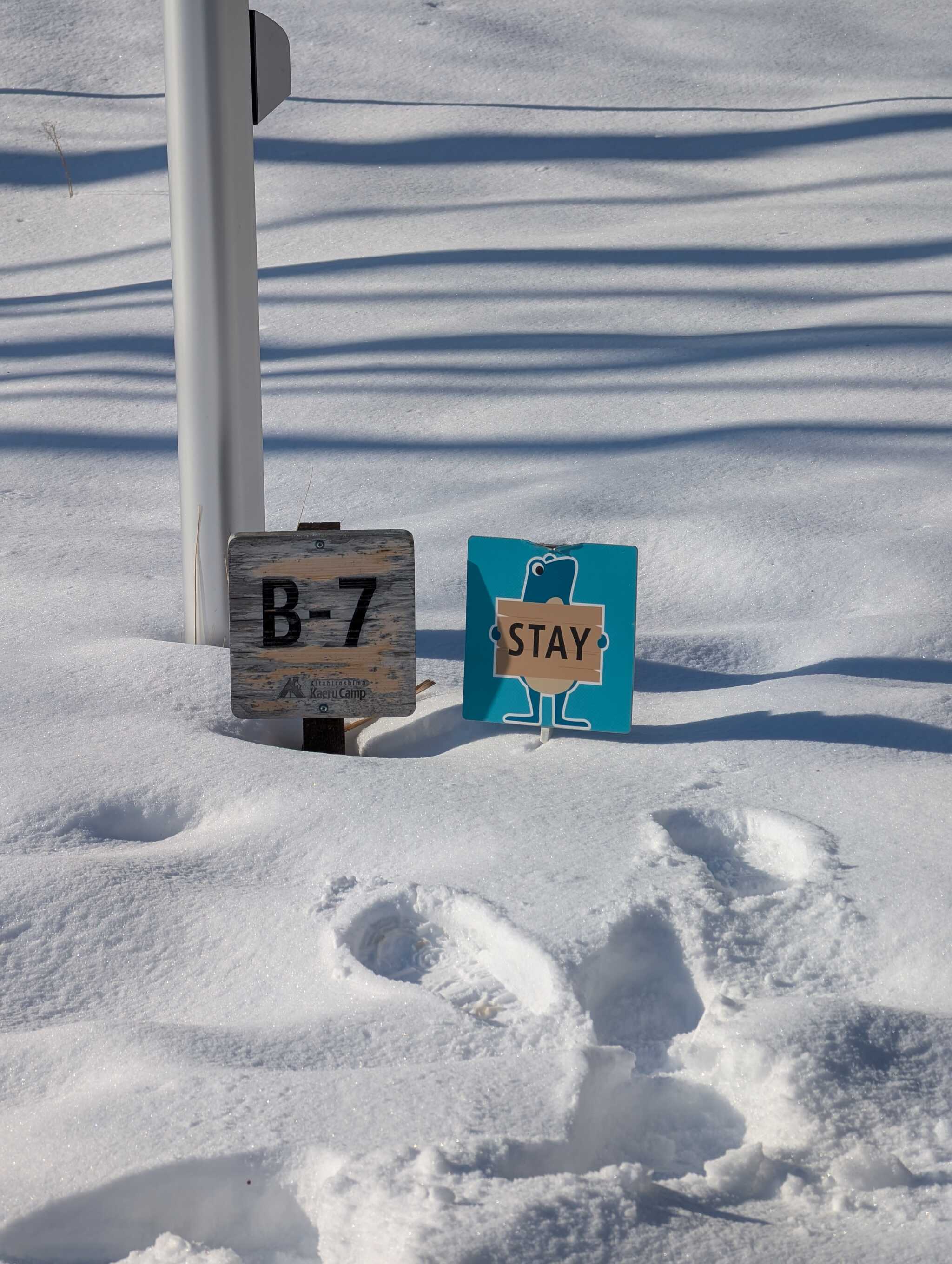 STAYの札