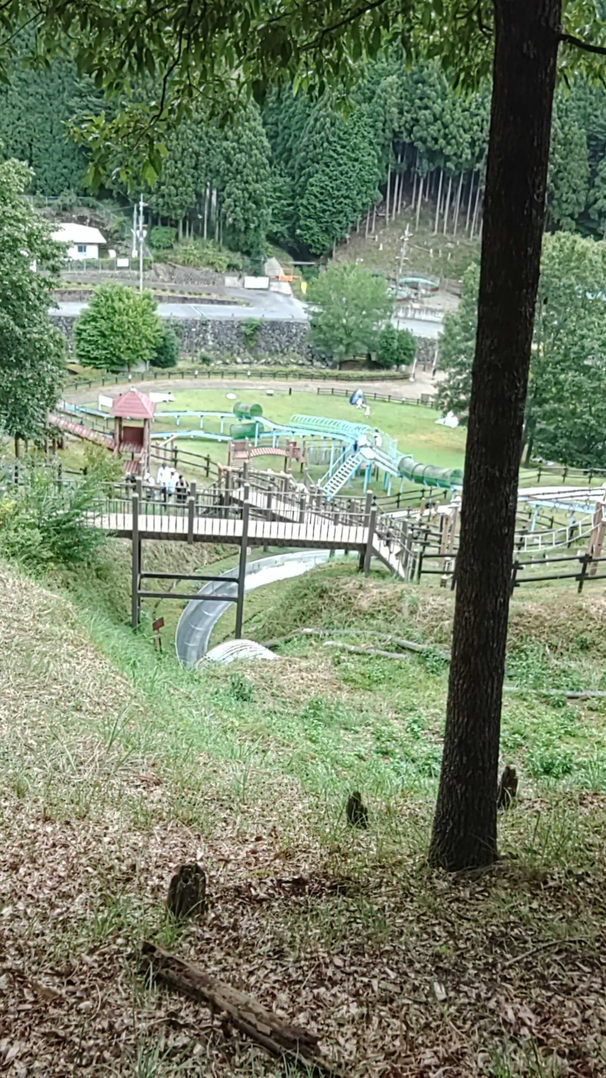 ボブスレー最高!