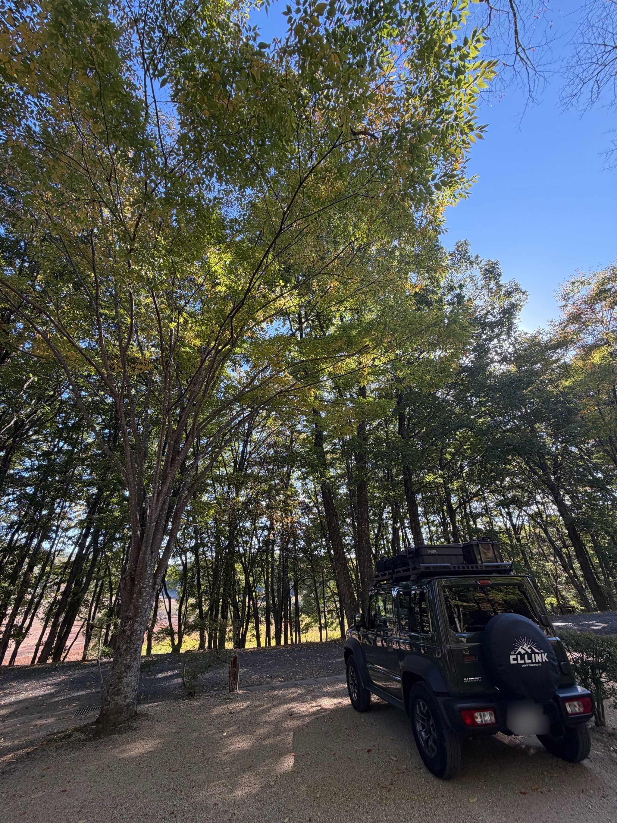サイトからの風景