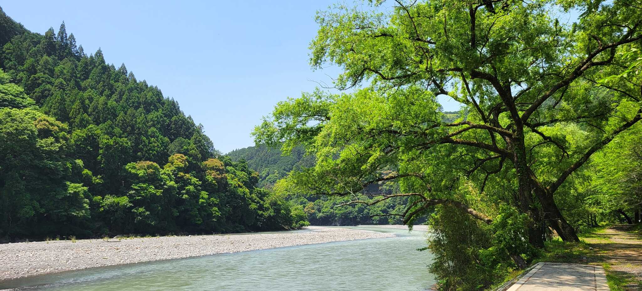 水量やや多め