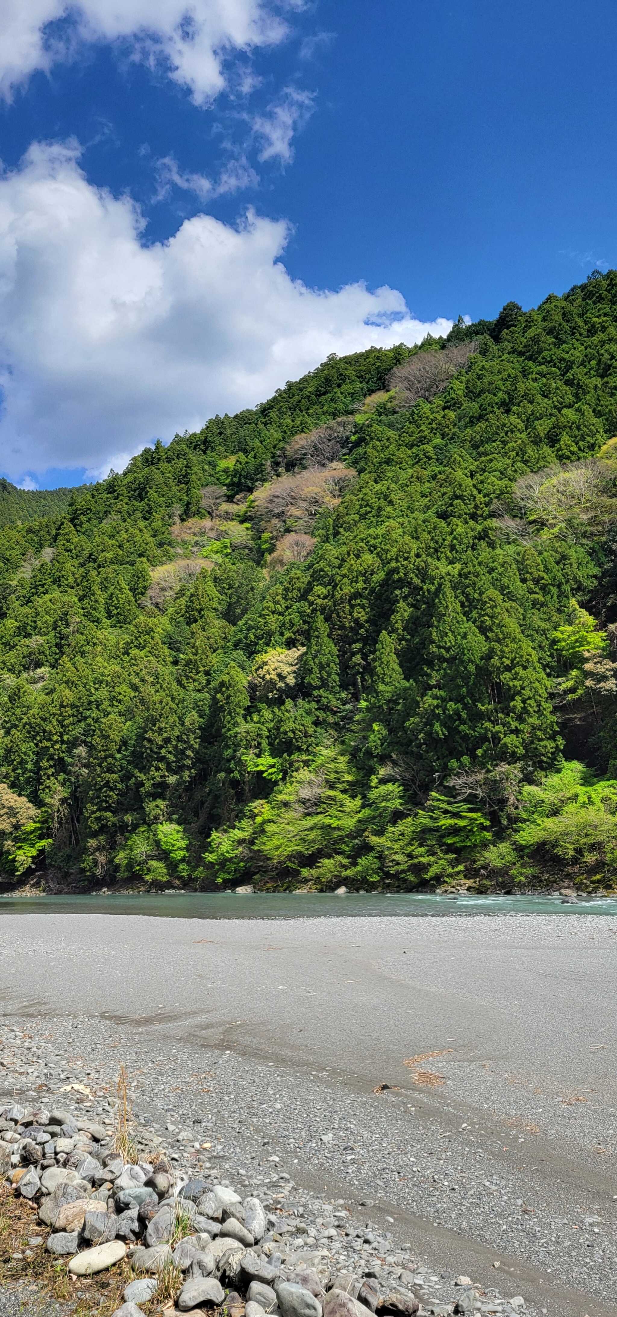 新緑と川と空