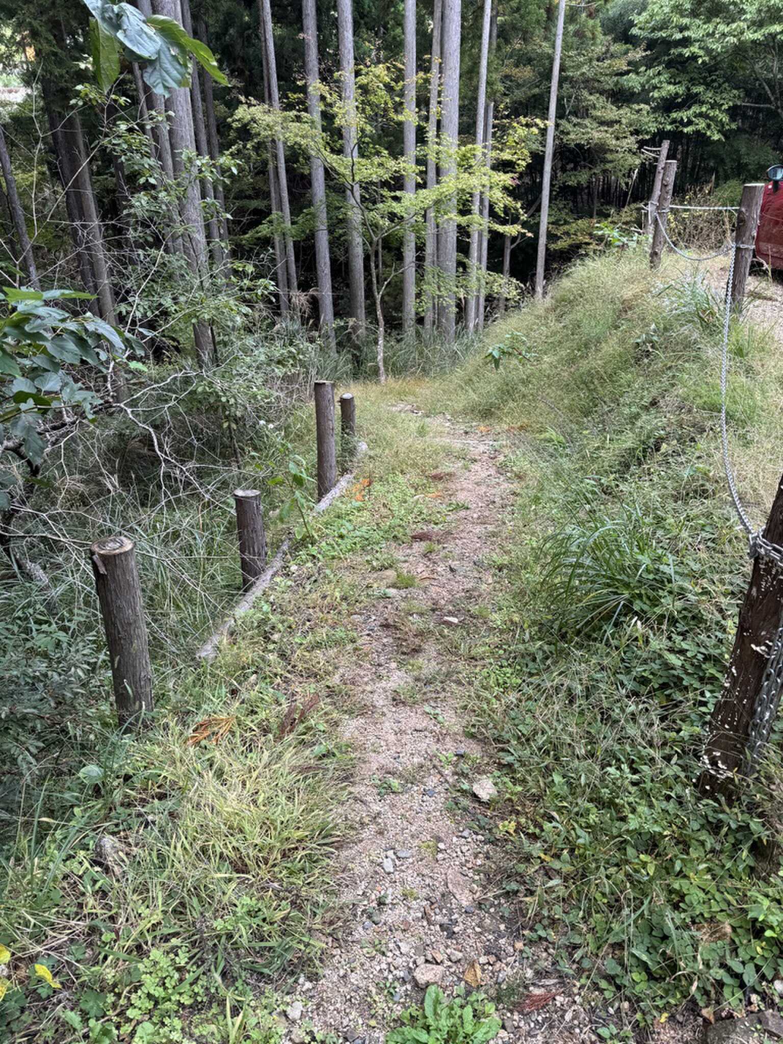 EAST FOREST専用駐車場からサイトへの小径