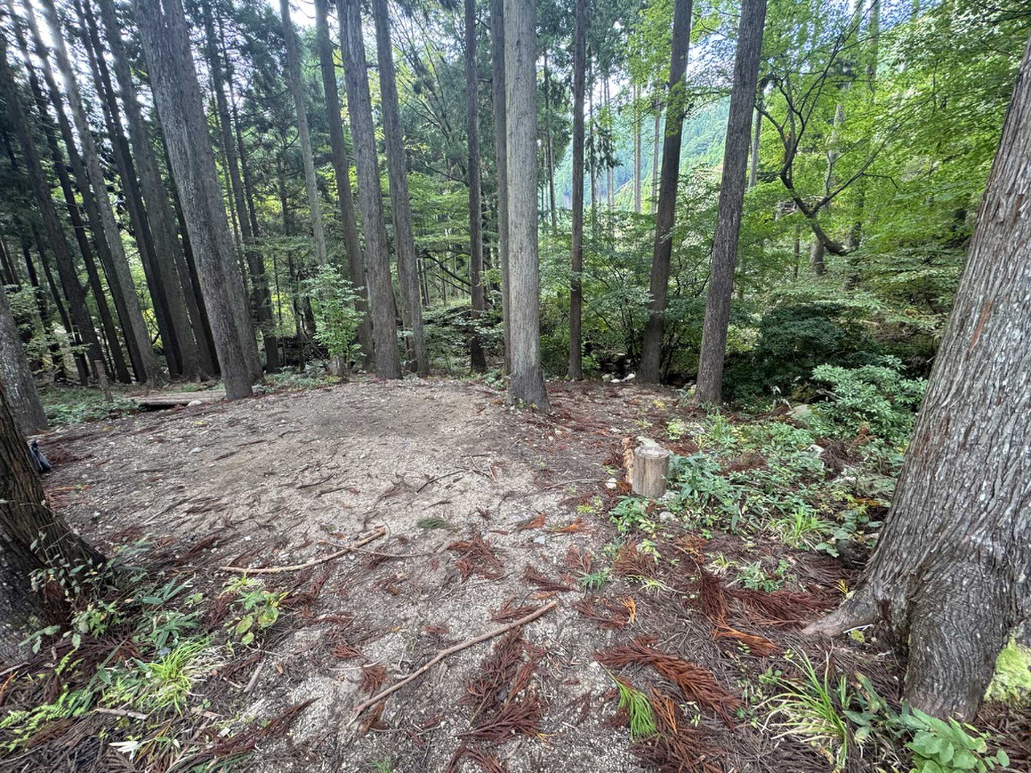EAST FORESTサイト渓流から離れたところ
