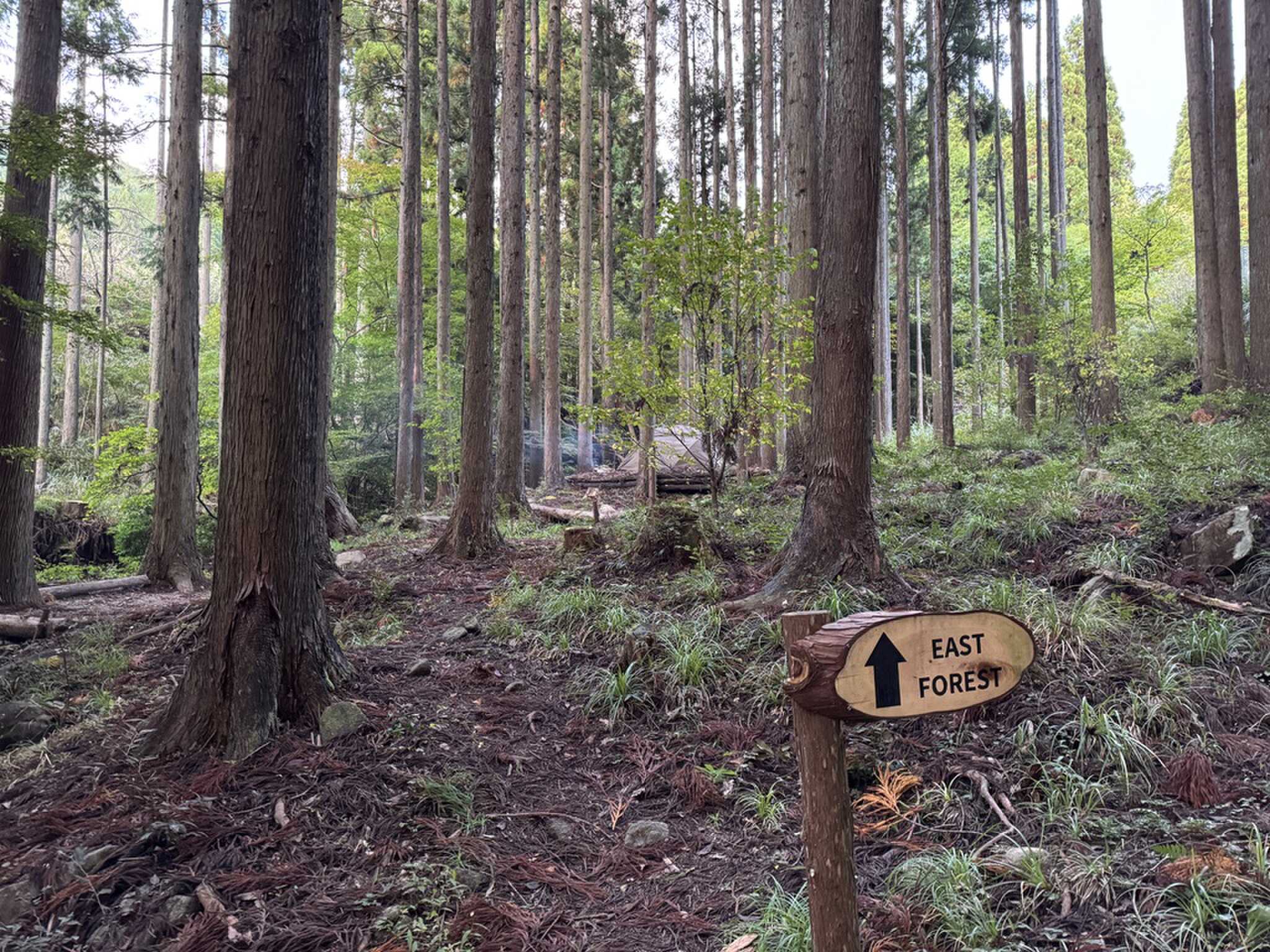 管理棟側からEAST FORESTサイトの入り口