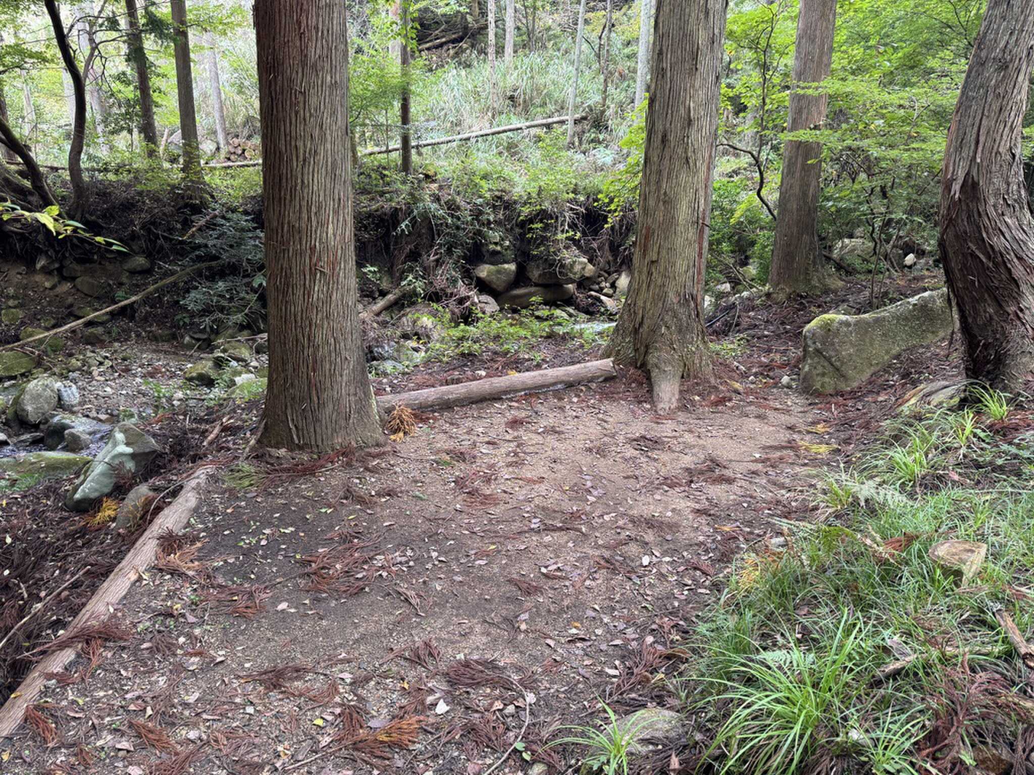 EAST FORESTサイト渓流そば2