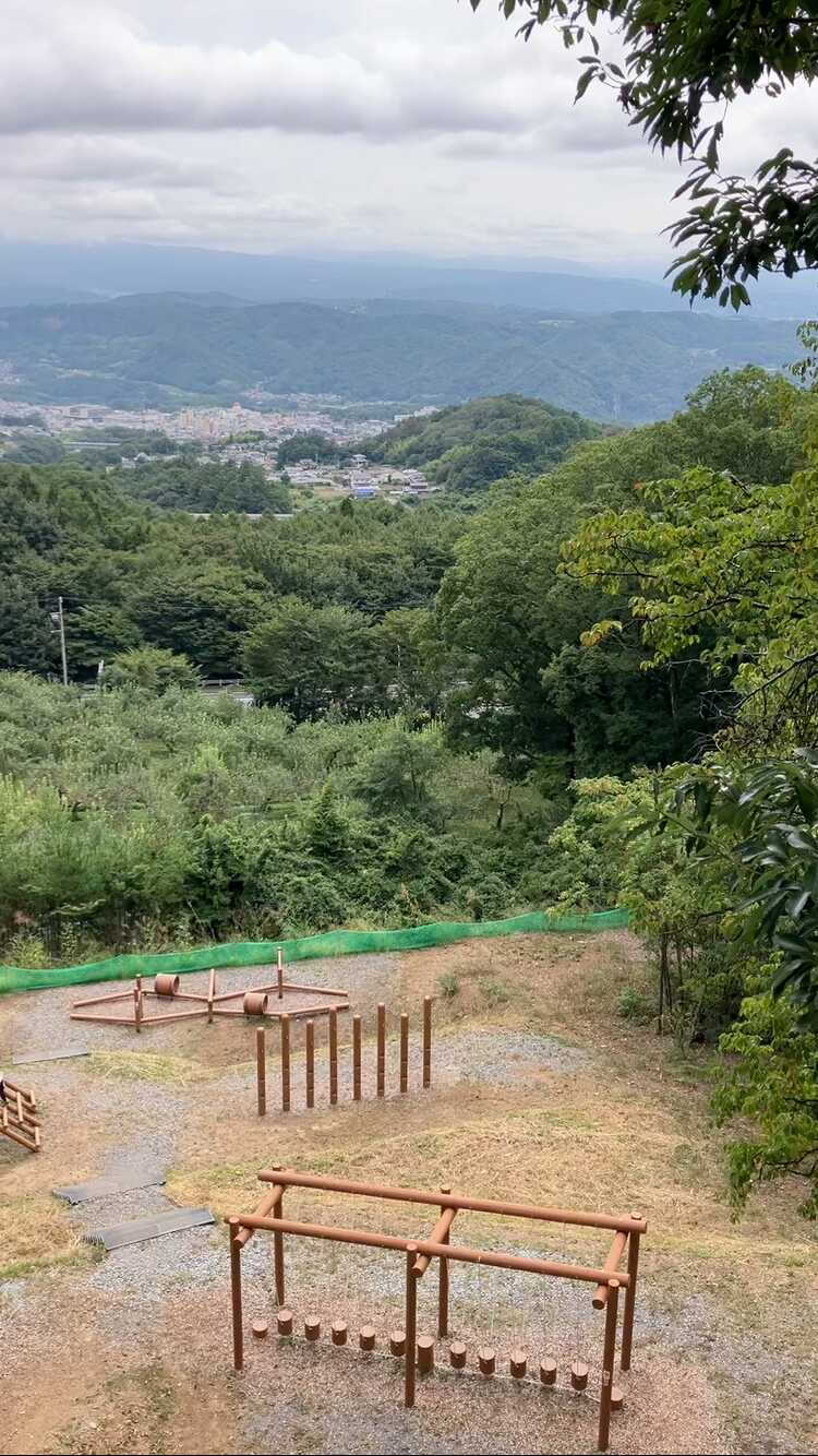 展望台からの景色